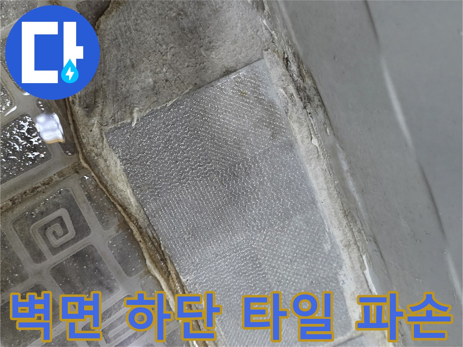 습기가 찬 복도 벽면 하단부의 타일 탈락 현상