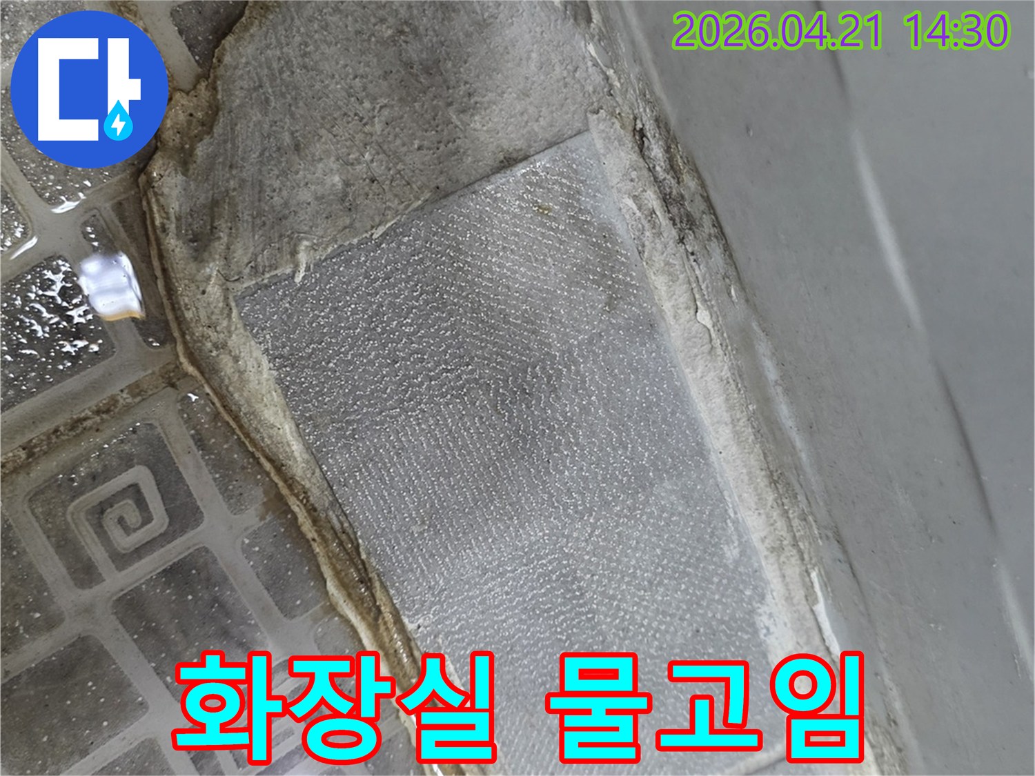 타일-줄눈-손상으로-인한-누수-현상-정밀-점검-사진