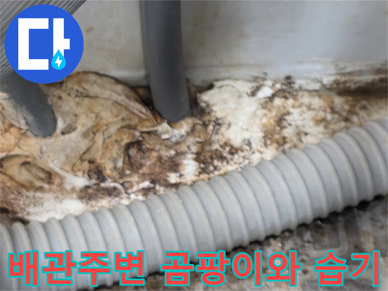 화장실 배관 주변의 곰팡이와 젖어있는 마감재 상태를 보여주는 사진입니다.