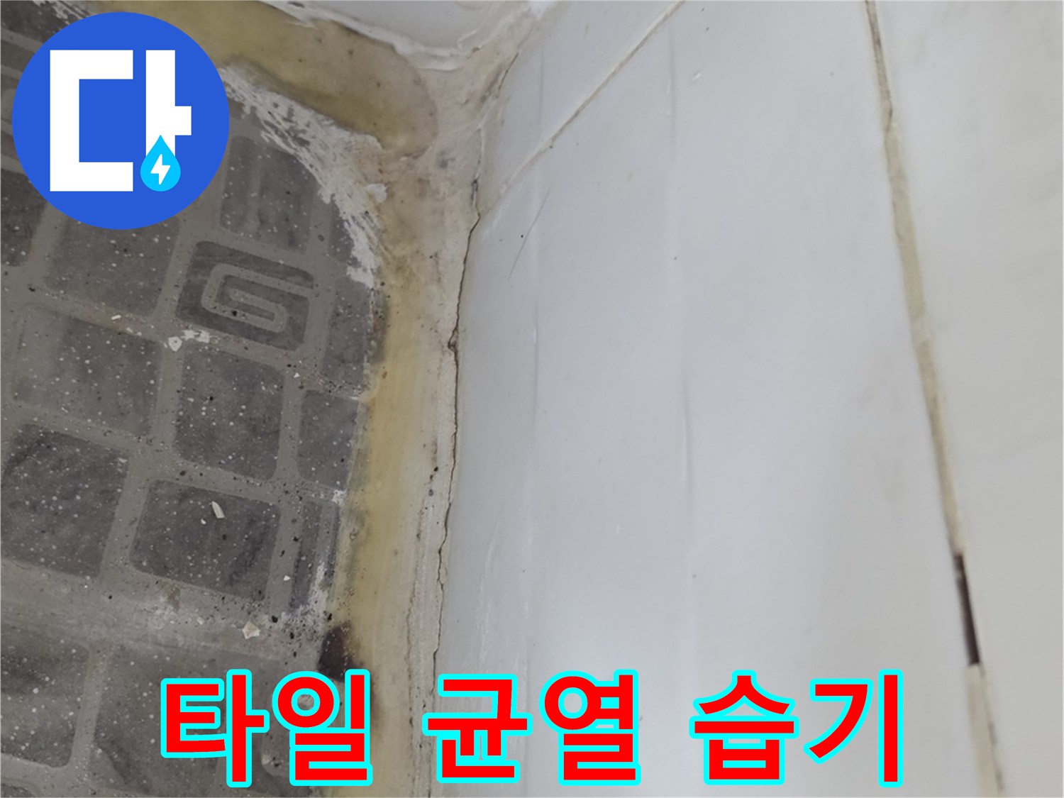 화장실-벽체-하부-타일-틈새-습윤-상태