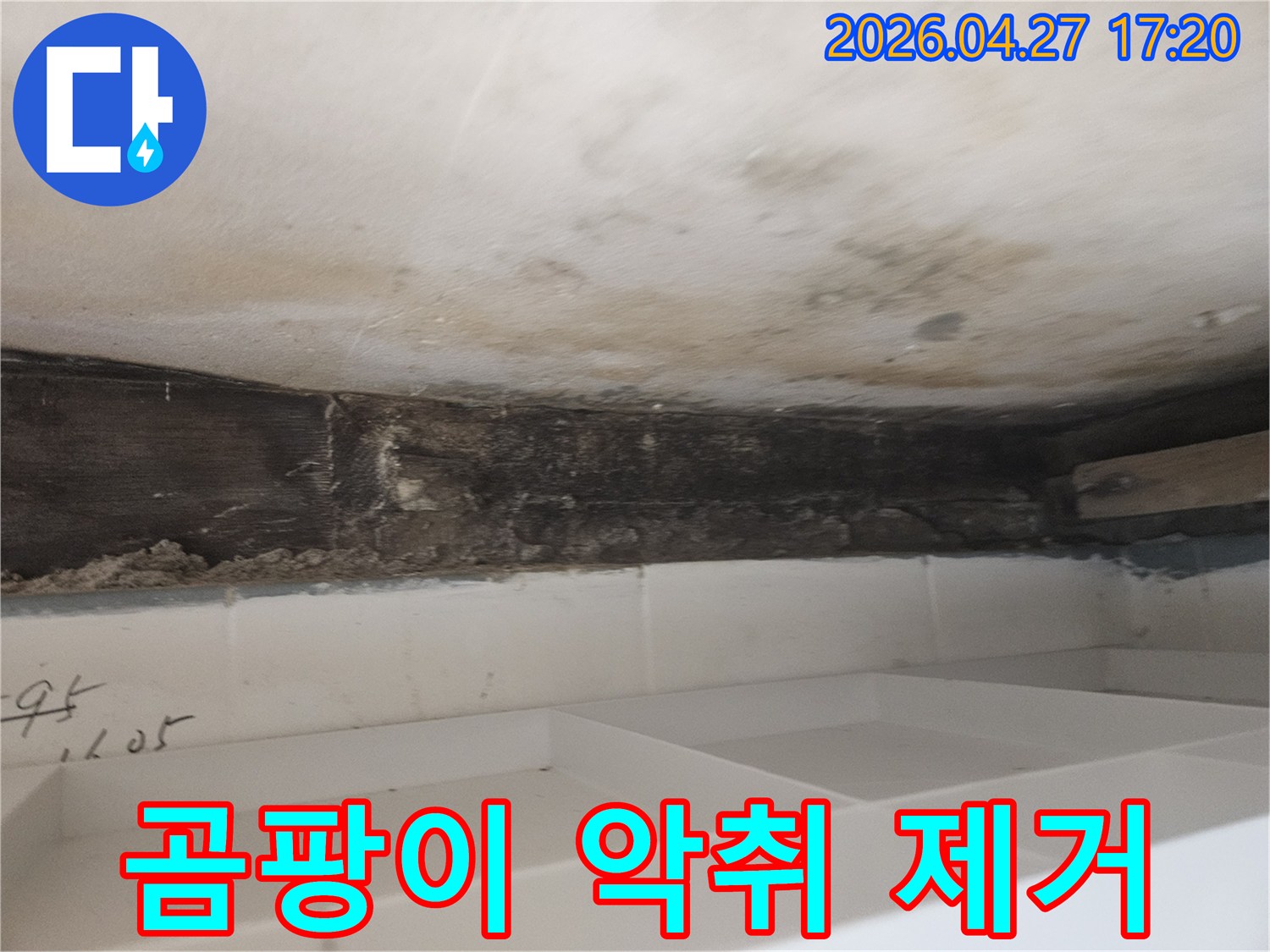 누수로 인해-욕실 천장-벽면에-발생한-곰팡이로-인한-악취를-제거하고-쾌적한-환경을-조성하는-현장-사진