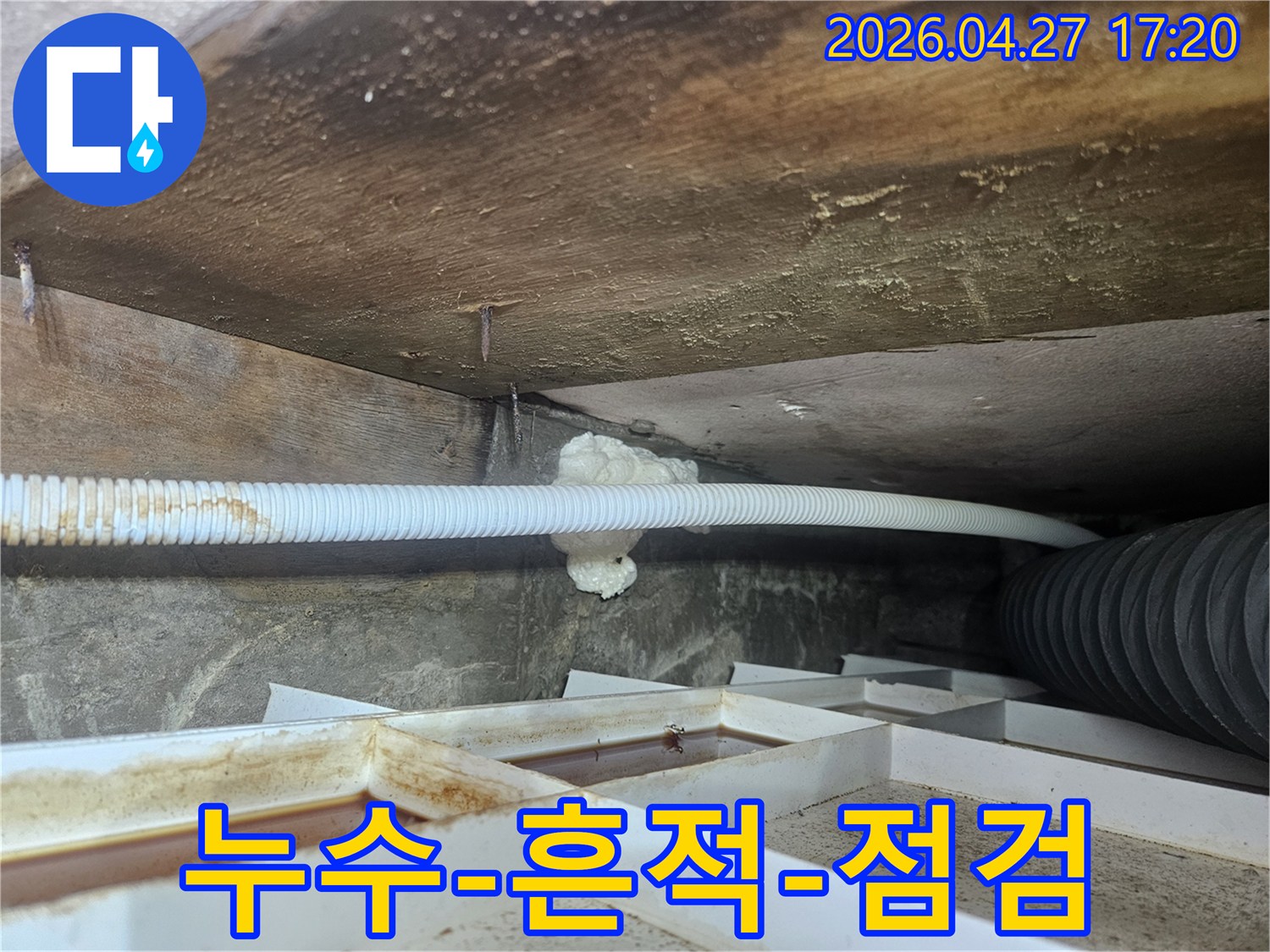 욕실-천장-누수-현장에서-발견된-누수-흔적을-정밀하게-점검하는-전문가의-모습