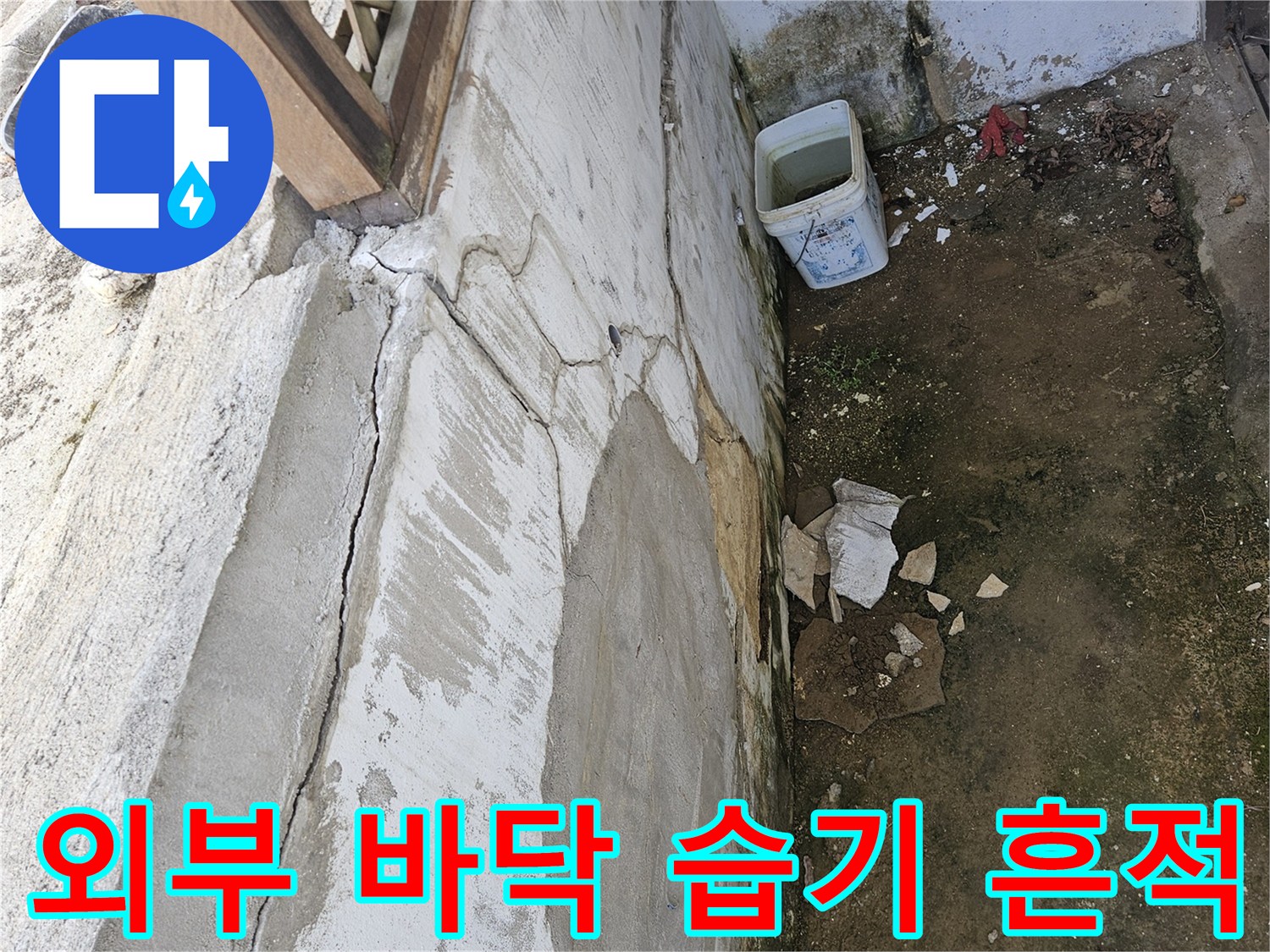 야외 계단 주변-갈라진 콘크리트 틈새와 축축한 지면 상태