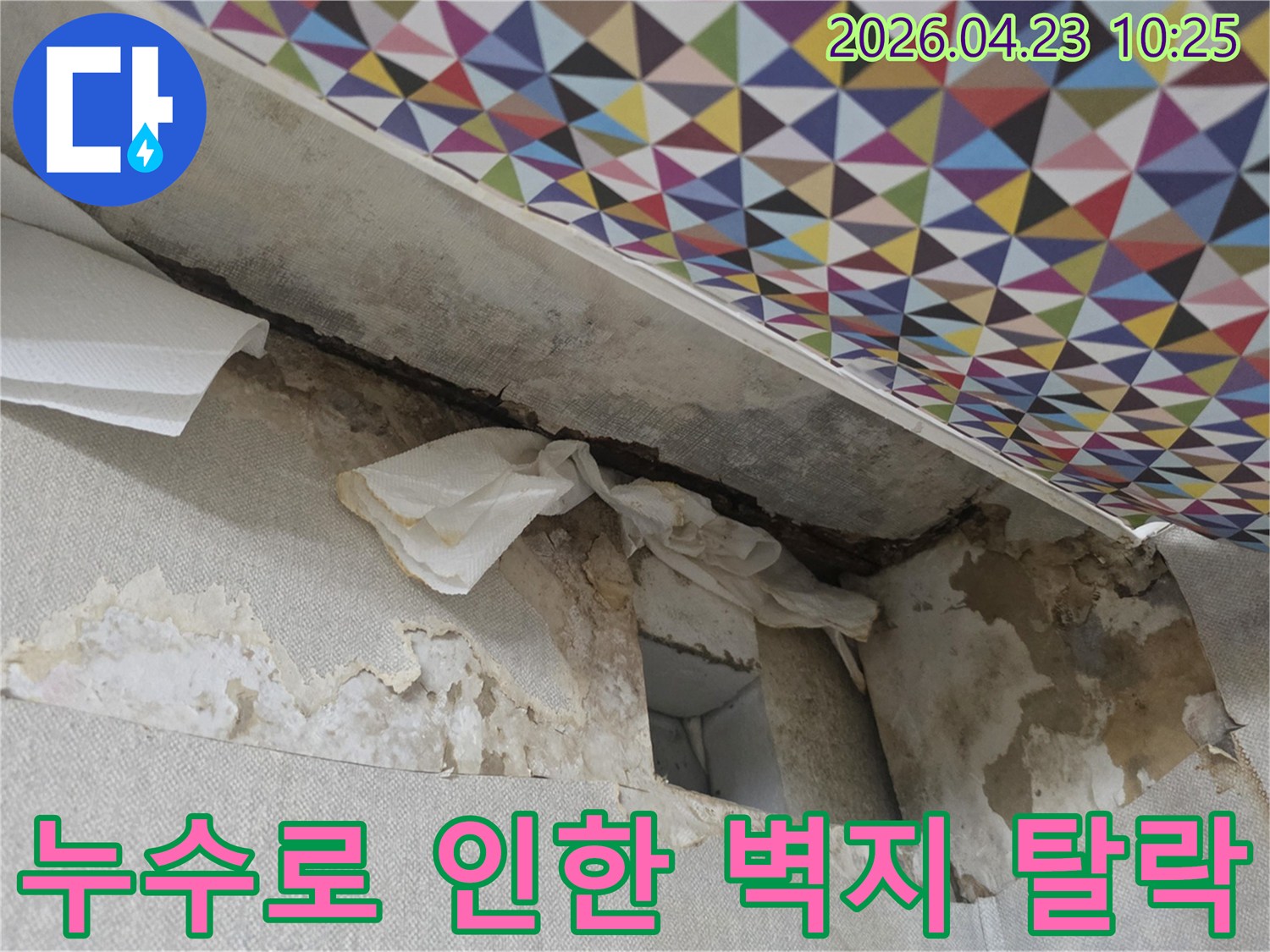 벽면-하단부에서-시작된-누수로-인해-벽지가-찢어지고-떨어져-나간-모습입니다.