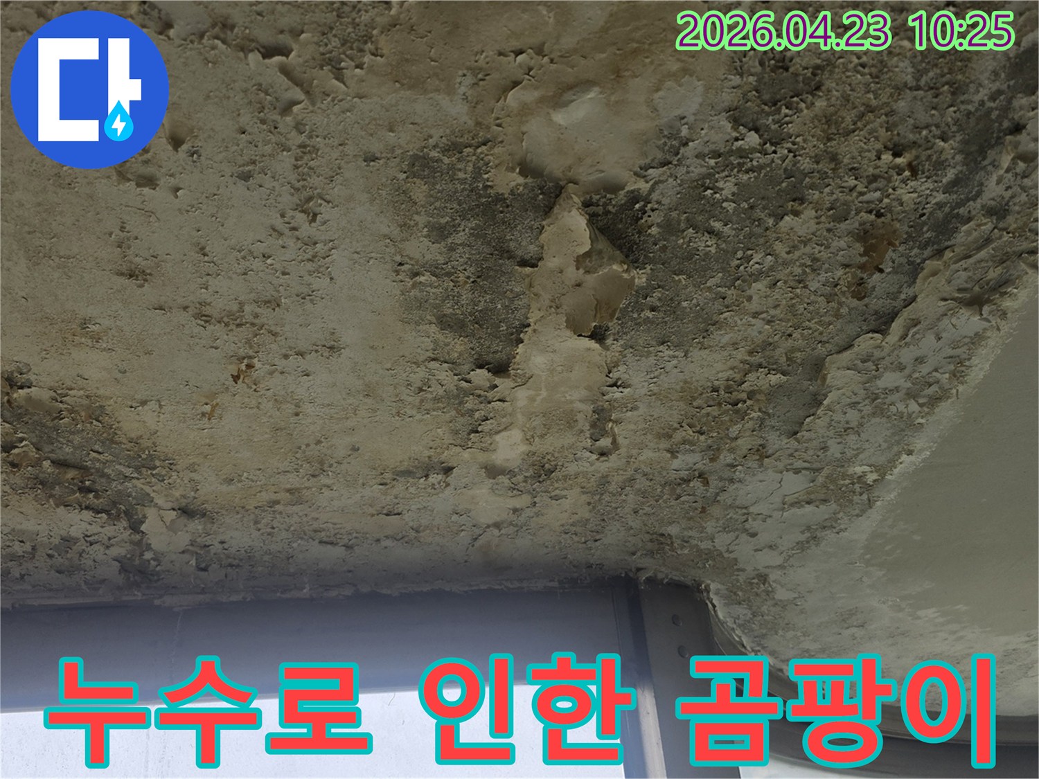 습기와 곰팡이로 오염된 천장 표면은-누수가 진행되고 있음을 명확히 나타냅니다