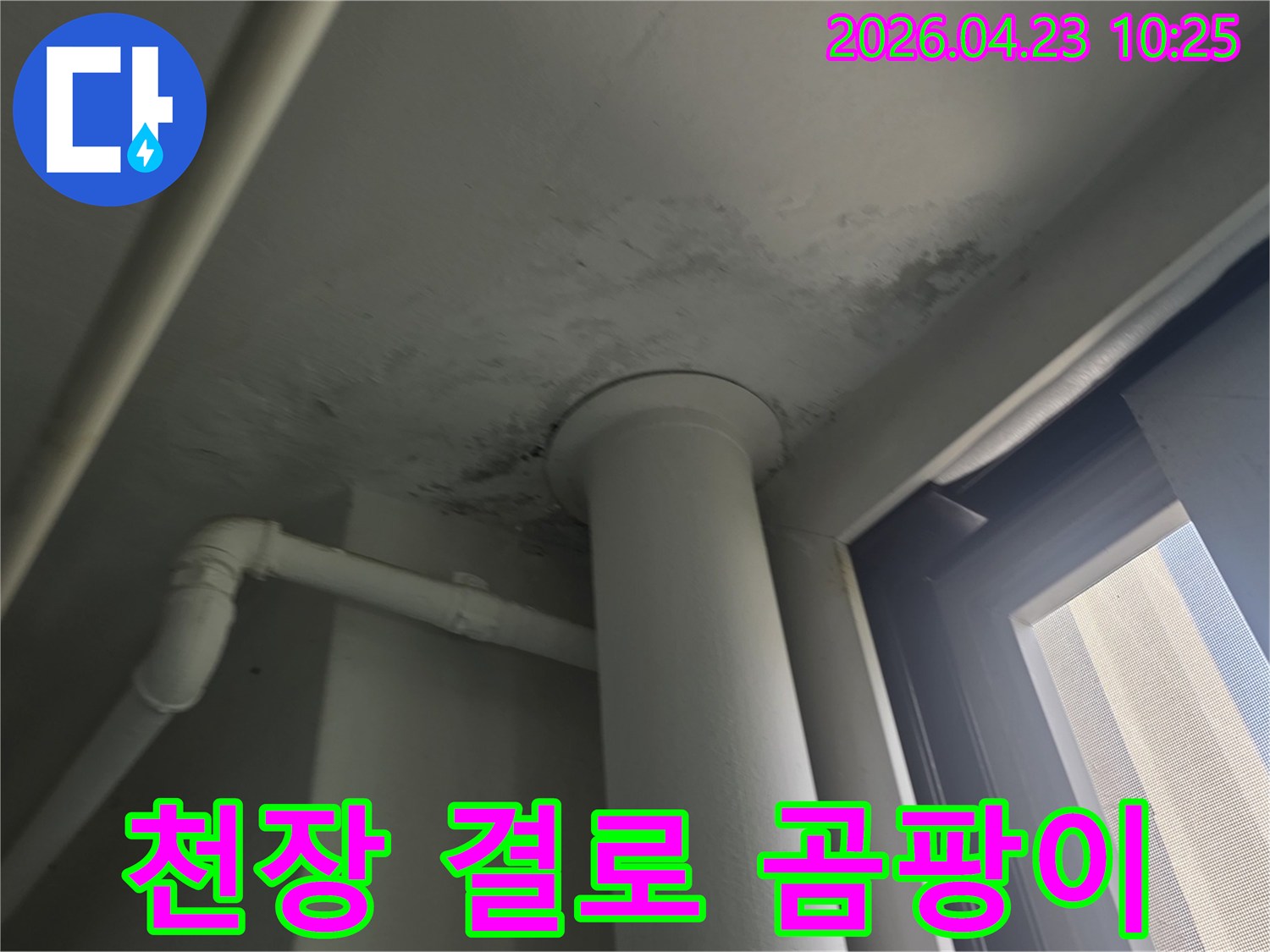 천장 배관 주변에 발생한 습기로 인한 곰팡이-오염