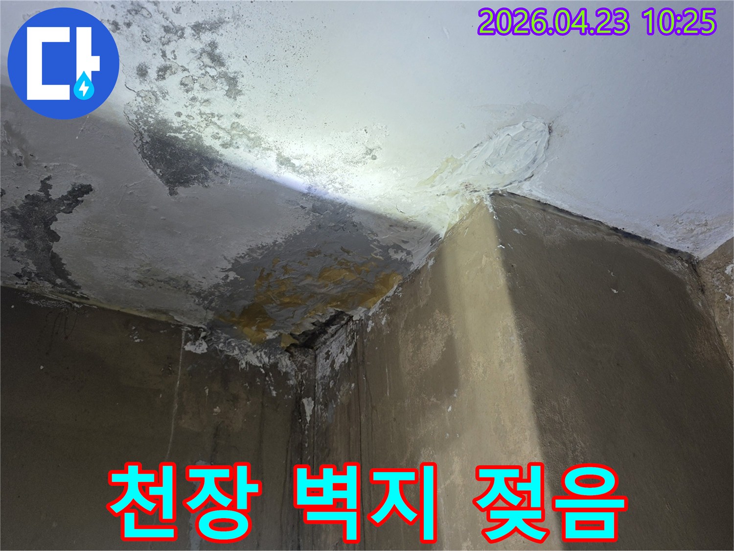 천장-벽지-젖음-현상-물에-의한-손상-사진
