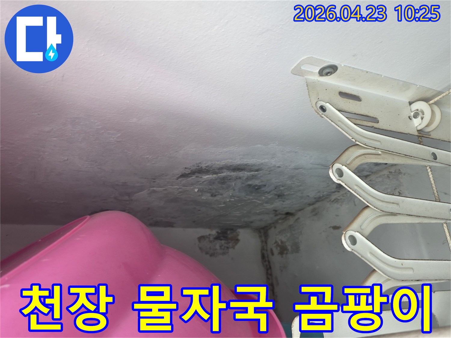 천장에-누수로-인해-생긴-얼룩과-곰팡이가-확연히-보이는-모습