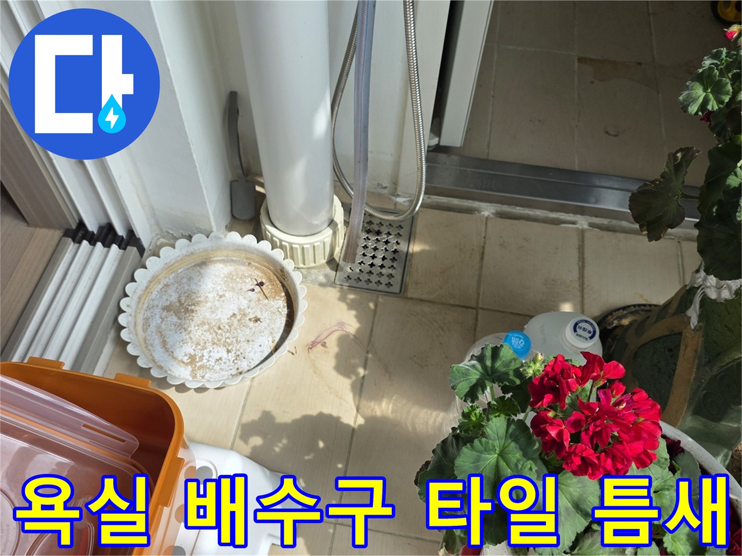 욕실-배수구-유가-주변-타일-사이-물기-상태