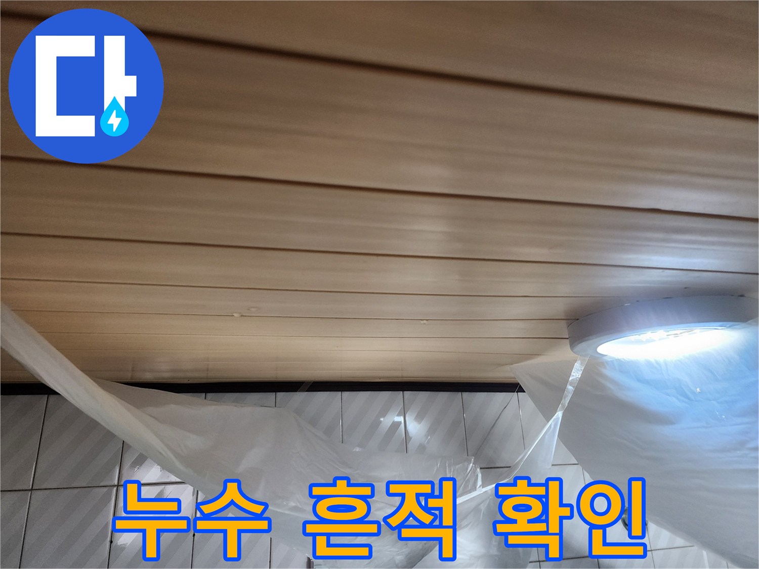 천장 텍스 사이의 습기와 조명등 근처 보양 비닐