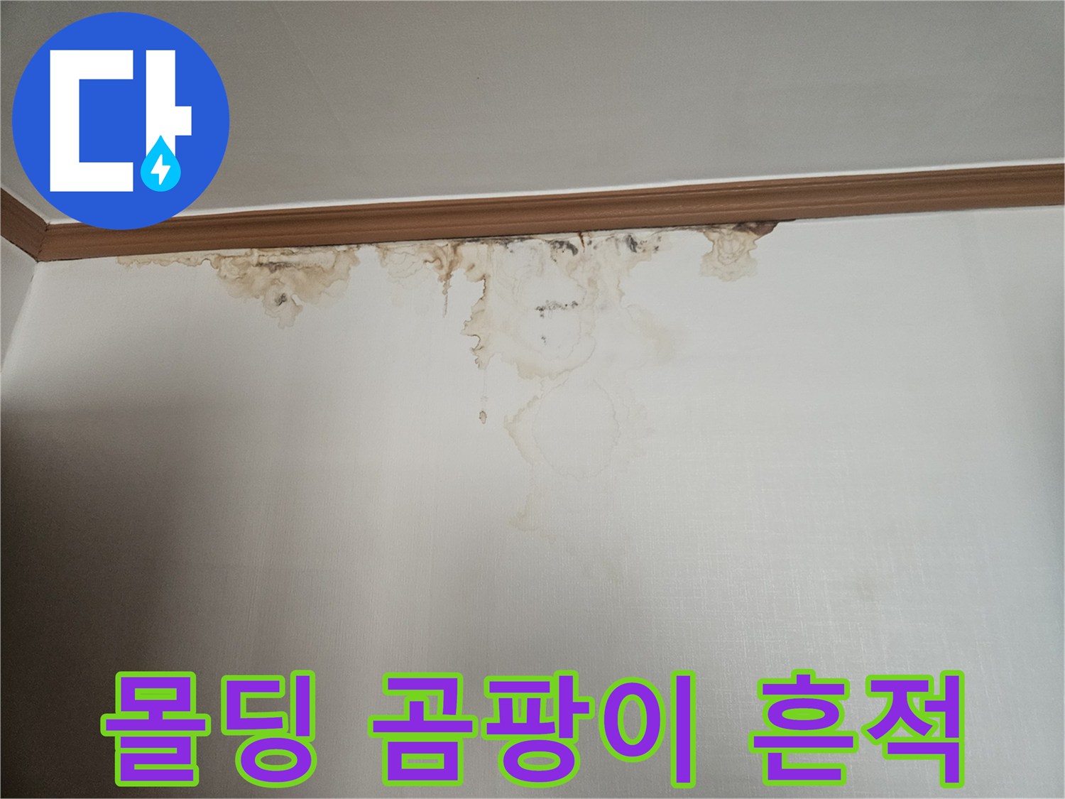 천장-몰딩-경계-부근의-누수-및-곰팡이-상태
