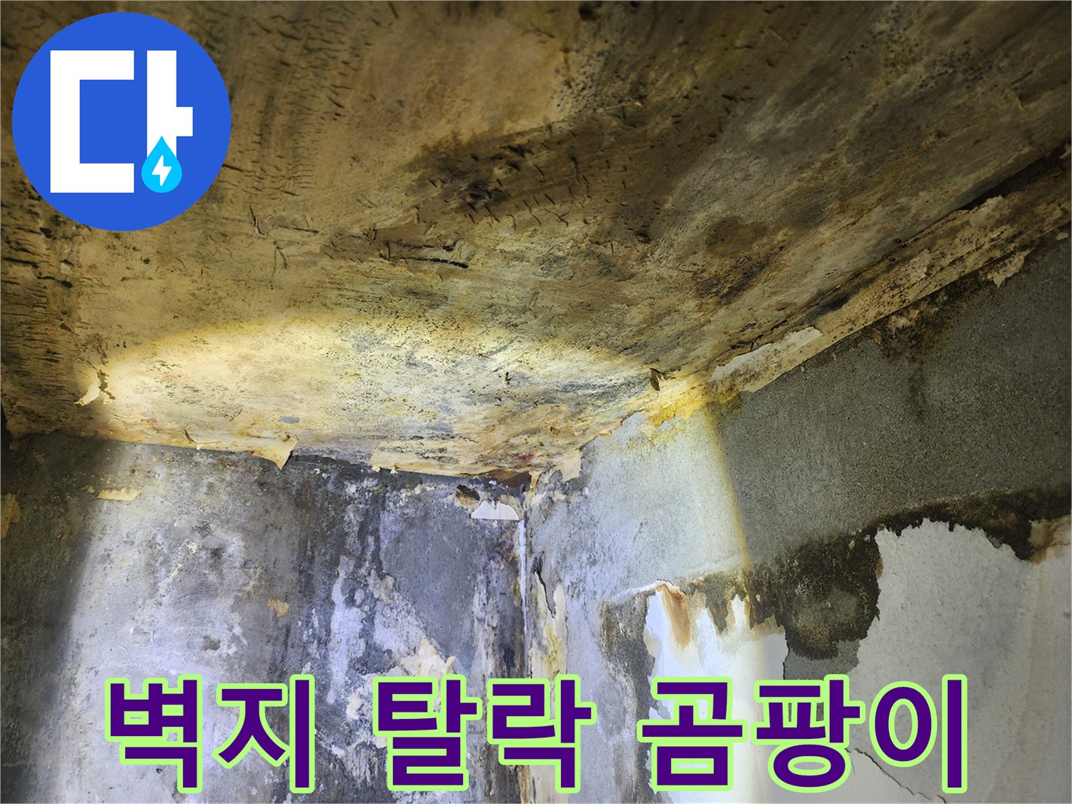 누수로 인해-벽면의 벽지가 심하게 탈락하고-곰팡이가 번식한 현장 모습