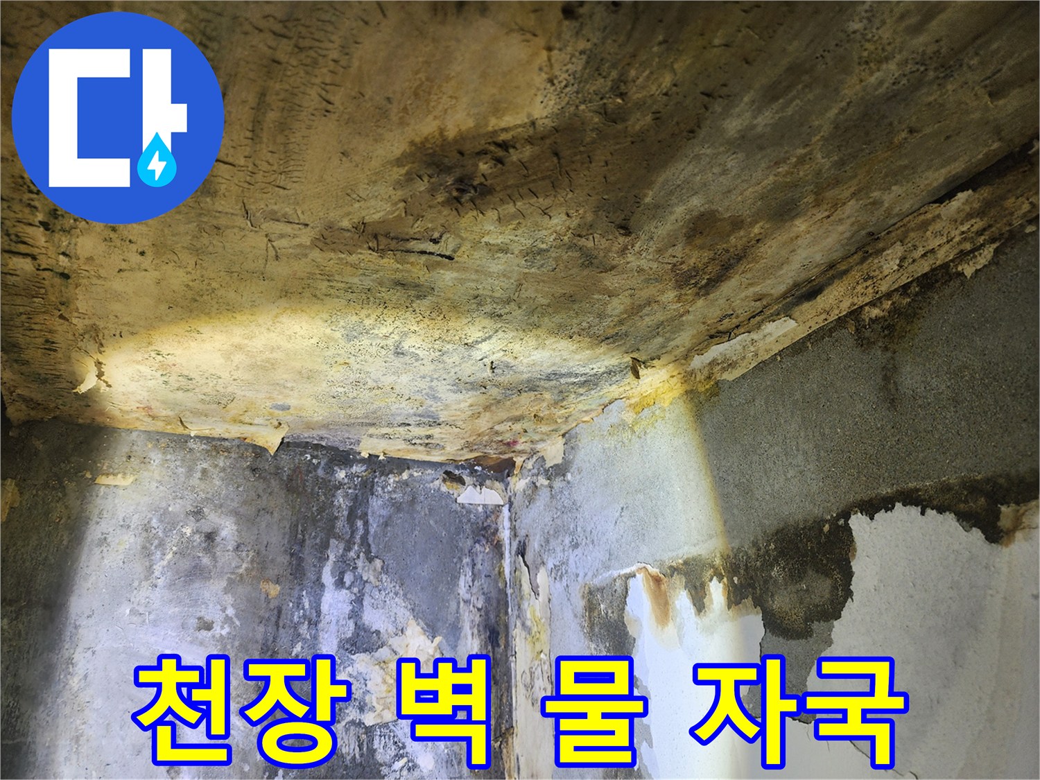 누수로 인해-천장과 벽에 생긴-심각한 물 자국과-벽지 손상 현장