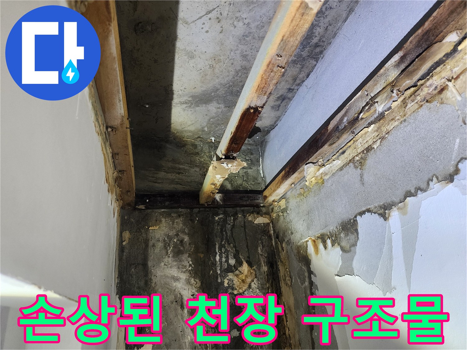 석고보드-제거-후-천장-내부에서-발견된-누수로-인한-손상된-구조물-모습