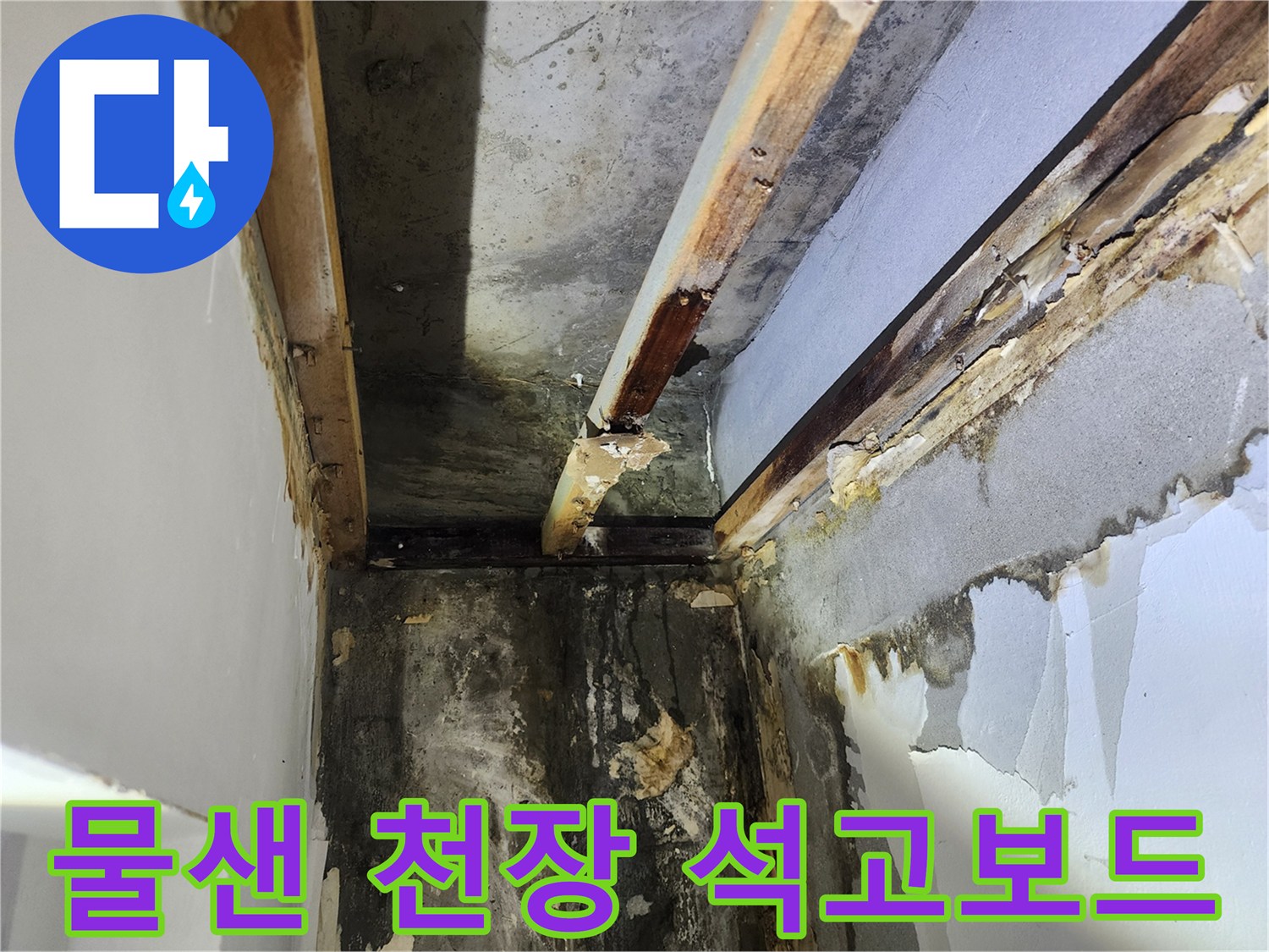 아파트-천장-누수-원인-파악을-위해-석고보드-철거-후-상태