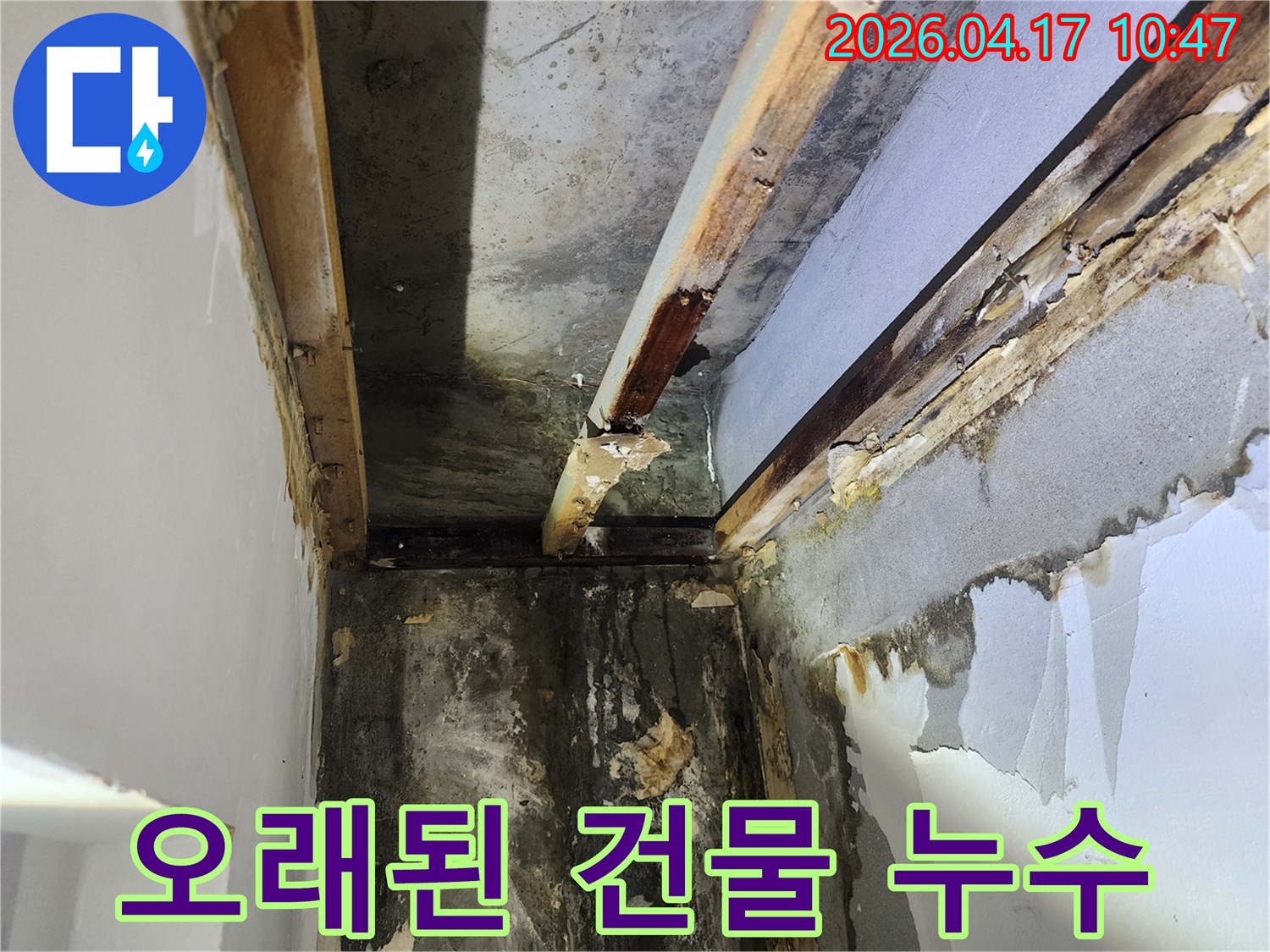 이 사진은-서울 서초구 잠원동의 오래된 건물에서 발생한-누수로 인한-천장과 벽면의 심각한 손상-그리고 목재 부식을 보여줍니다
