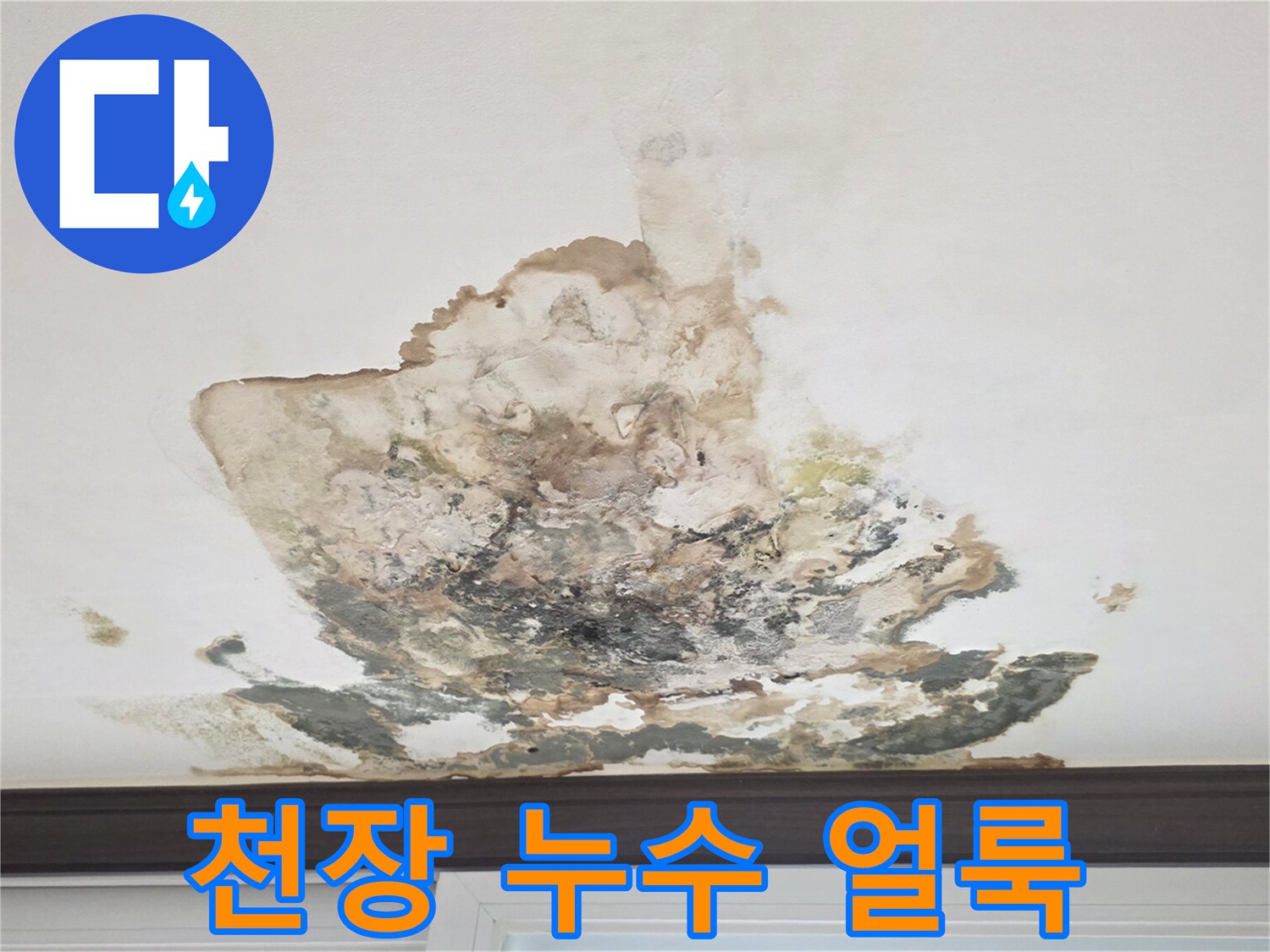 아파트 벽장 천장에 발생한 심각한 누수 흔적과 곰팡이 상태