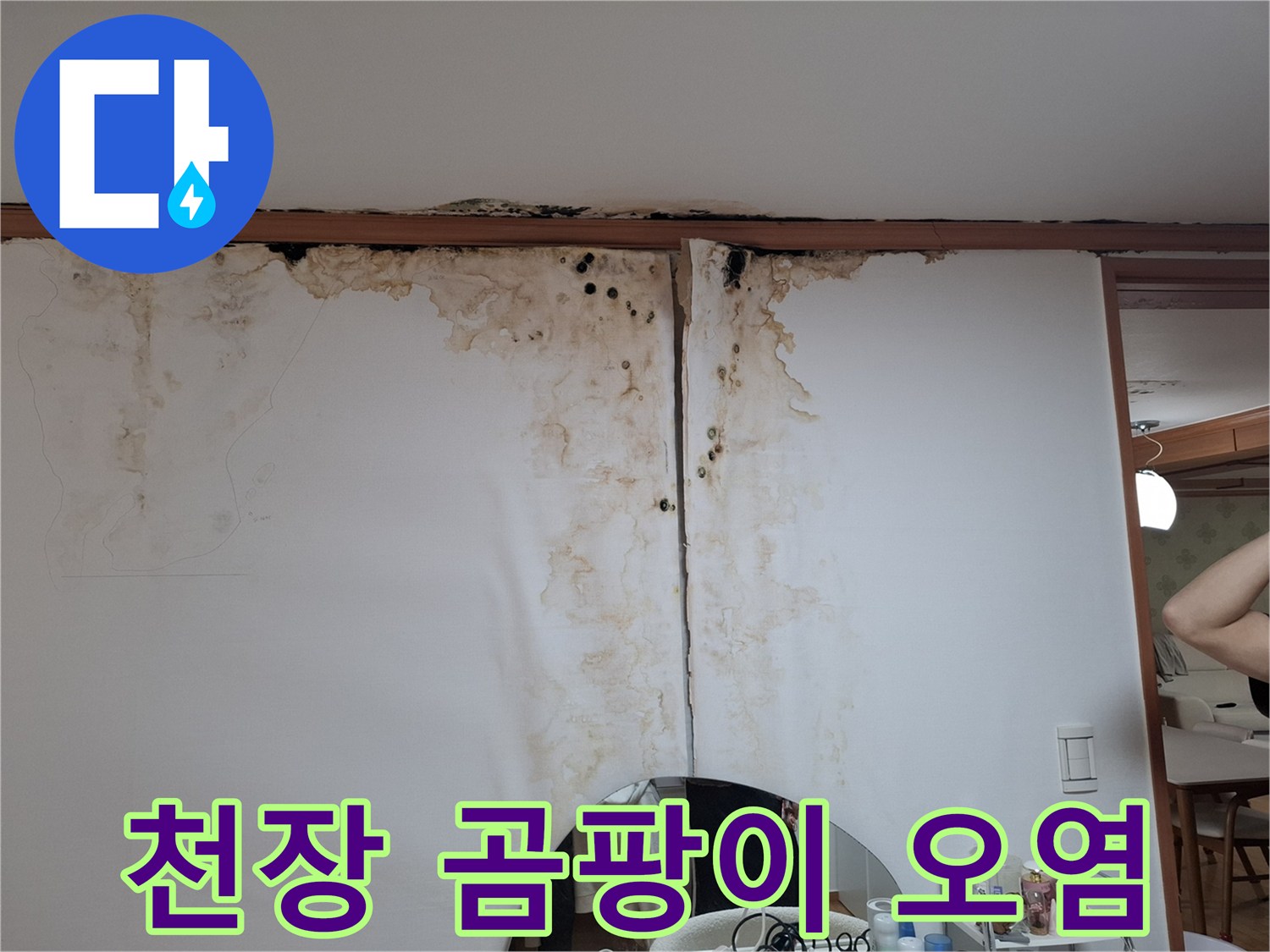 남양주 평내동 아랫집-천장 벽지의 심한 곰팡이와 변색