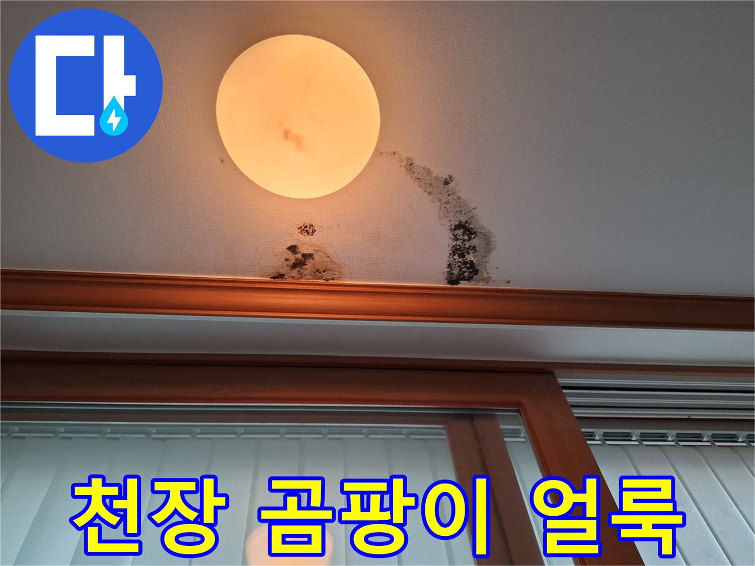 남양주 평내동 아랫집 천장에 발생한 검은 곰팡이와 갈색 물자국 사진