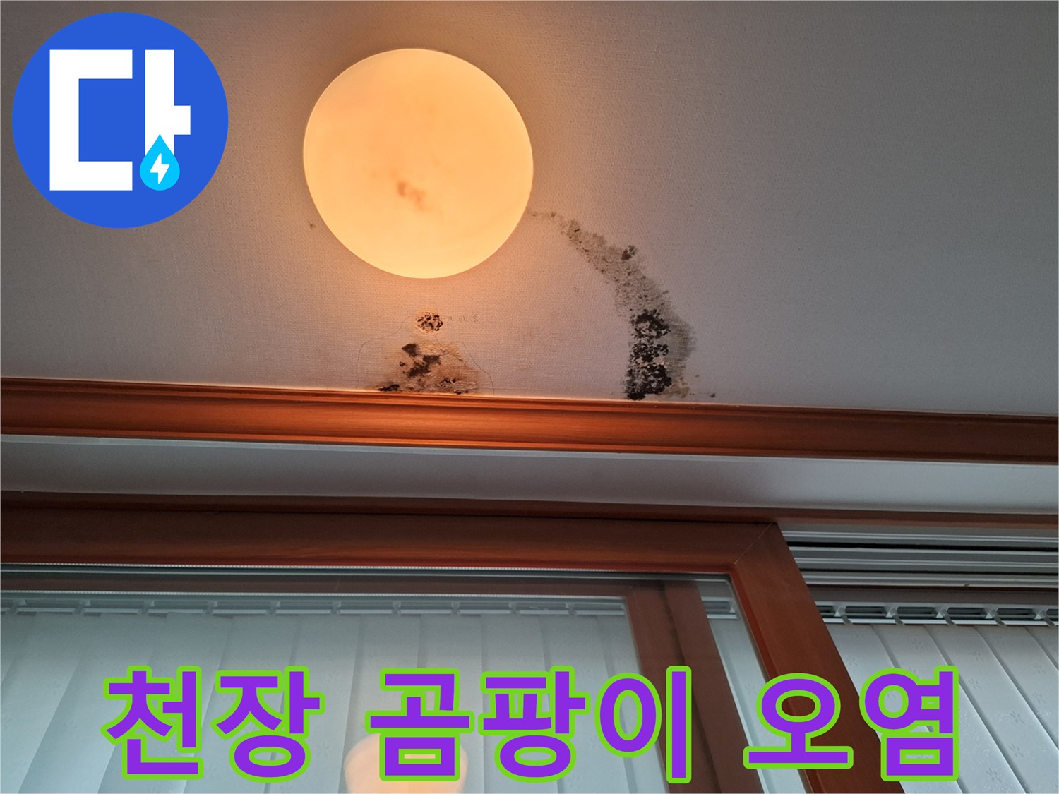 남양주 평내동 아랫집 천장의 누수 흔적과 곰팡이 번짐 사진