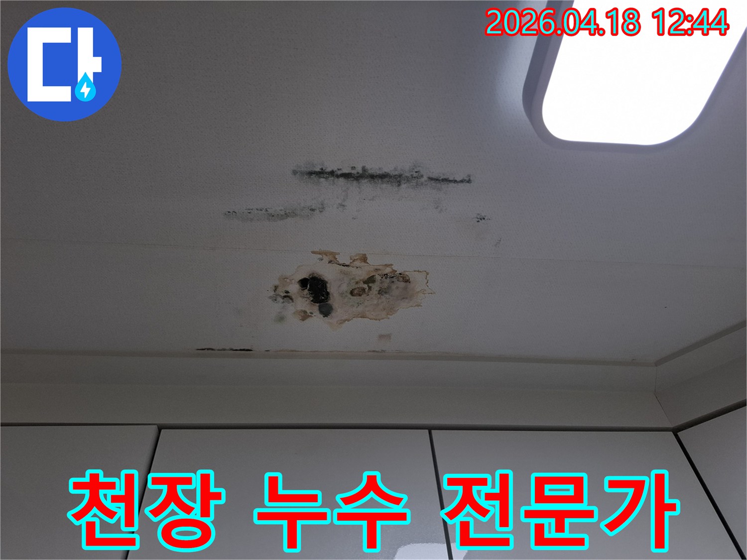 누수로-인해-천장-마감재가-손상되고-곰팡이가-번식한-아파트-천장-부분-전문가-진단-필요