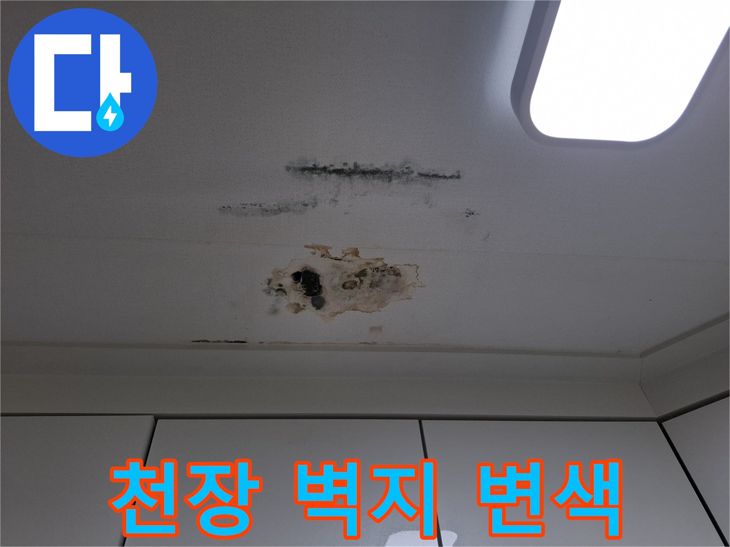 습기로 인해 갈색으로 변하고 곰팡이가 피어있는 천장 벽지