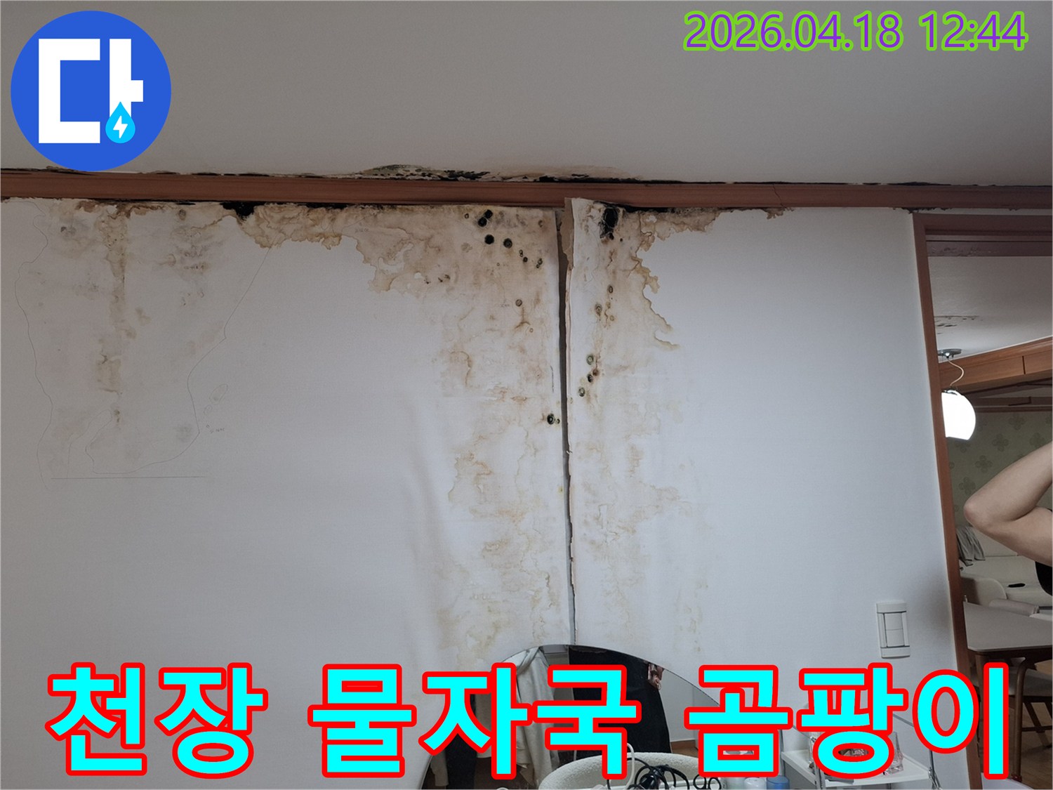 천장-아래-벽면에-선명하게-남은-물자국과-광범위한-곰팡이-오염을-보여주는-사진입니다.
