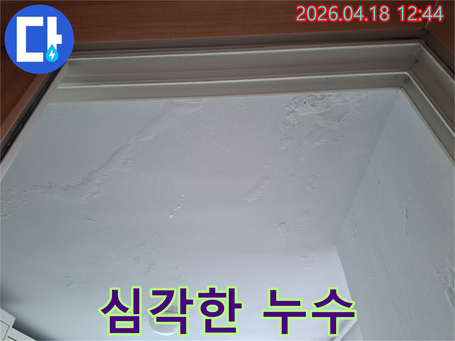 천장에서-물이-새어-나와-벽지가-손상된-모습을-담고-있는-누수-현장-사진