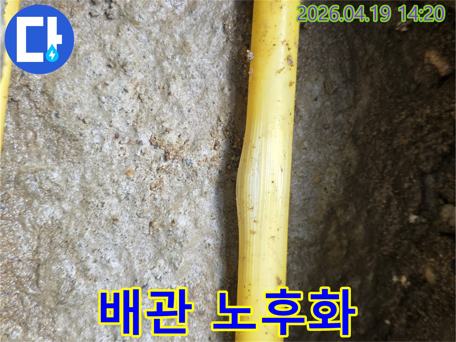 젖은 흙 속에 노출된 노란색 노후 배관의 손상 부위가-누수 발생 지점임을 명확히 보여줍니다.