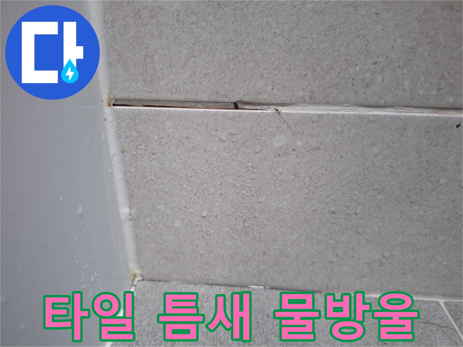 타일과 타일 사이-줄눈의-파손으로-인한-물샘 현장입니다.