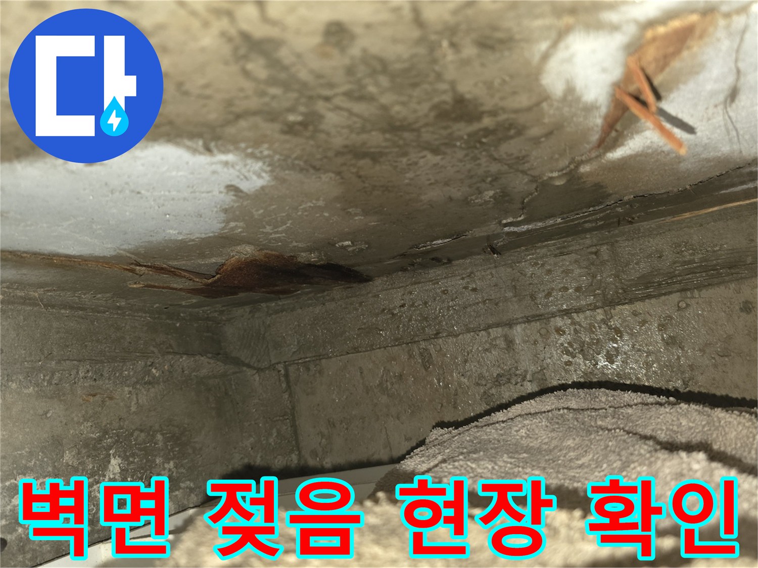 오래된 건물에서-발생하기 쉬운-천장 누수로 인해-벽면이 손상되고-곰팡이가 시작된-모습을 담고 있습니다