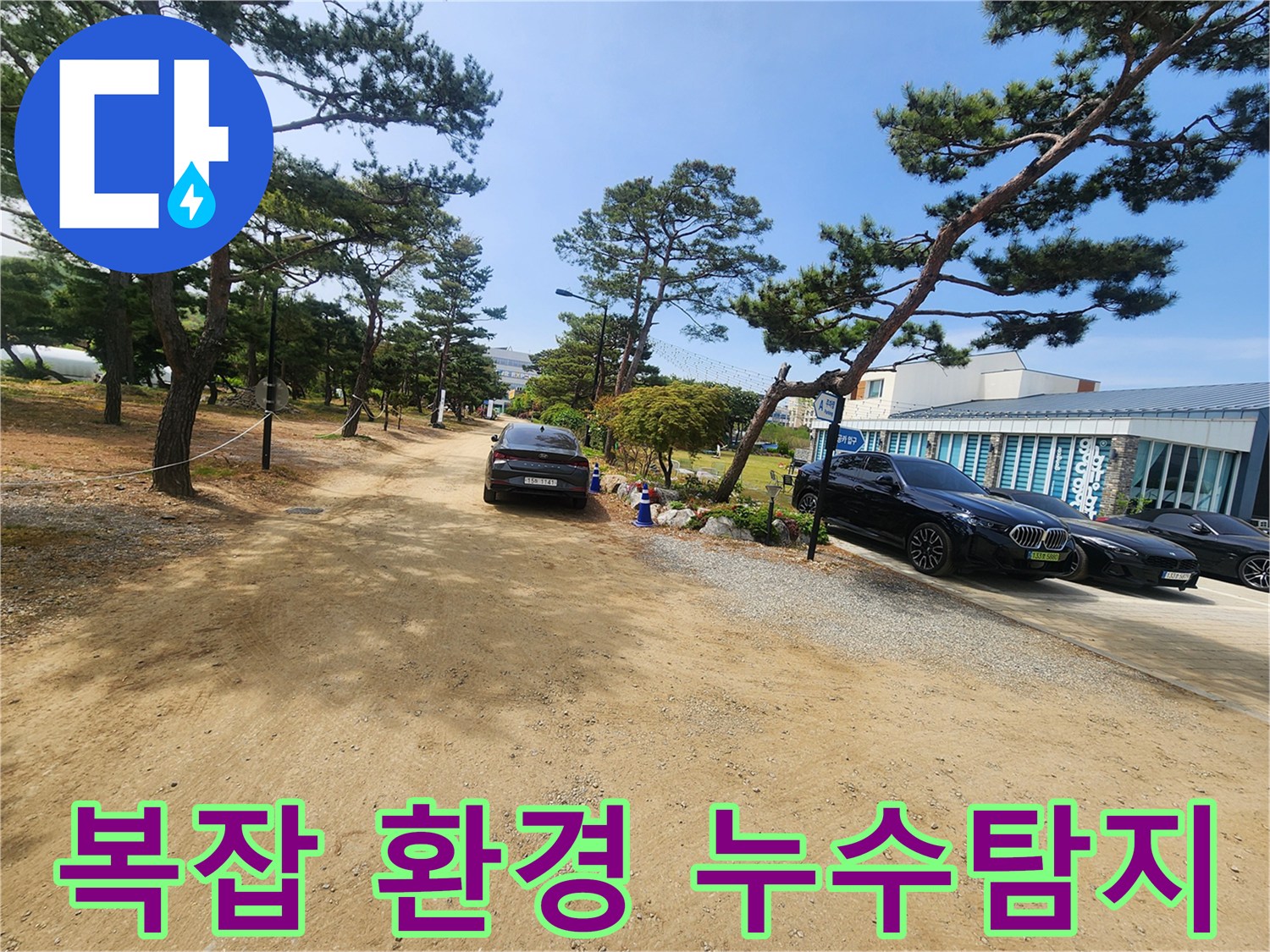 소나무가 우거진 넓은 야외 부지에서-누수 탐지 작업의 어려움을 보여주는-현장 풍경입니다.