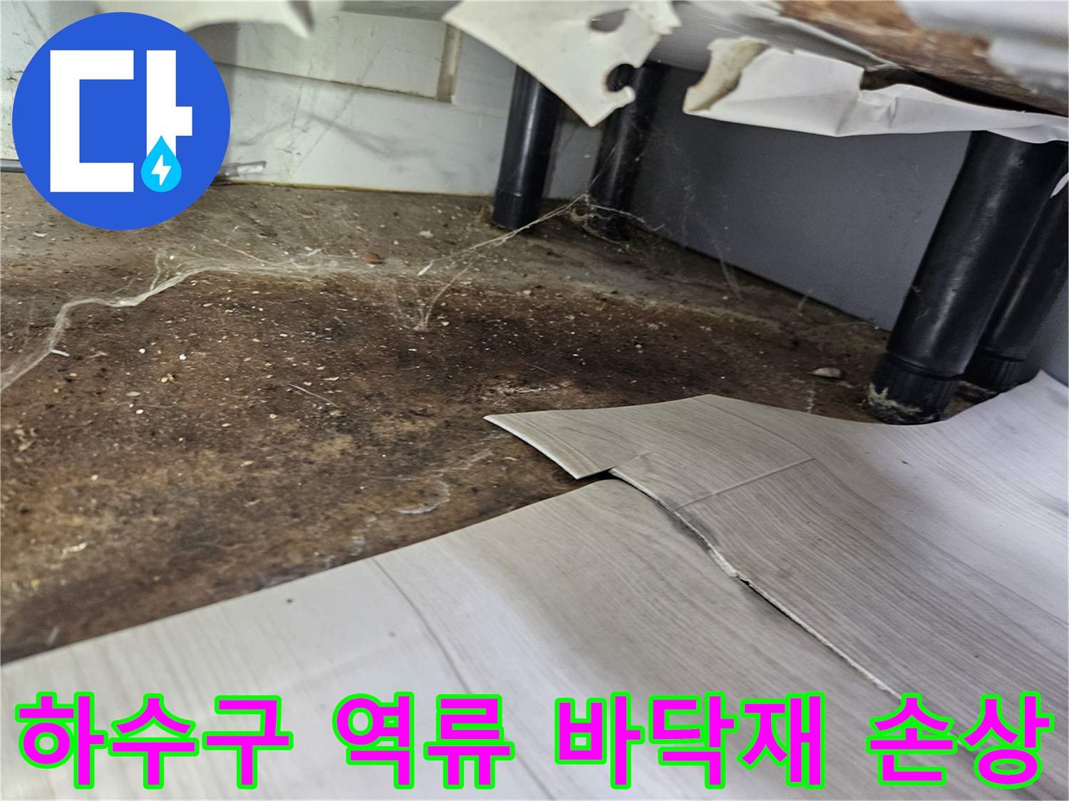 하수구-역류로-인해-바닥재가-심하게-손상되고-오염된-우성아파트-내부-현장