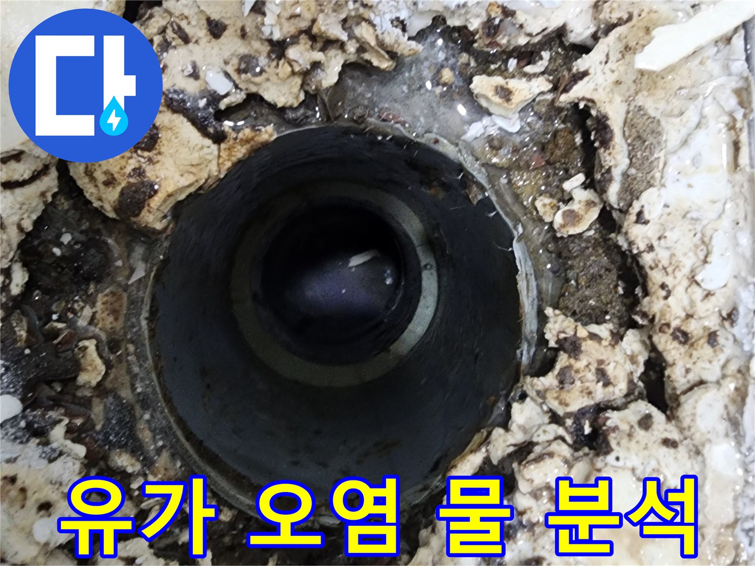 서울 서대문구 화장실 유가 주변에서-발견된 오염된 물과 이물질을 통해-누수 원인을 분석하는 모습