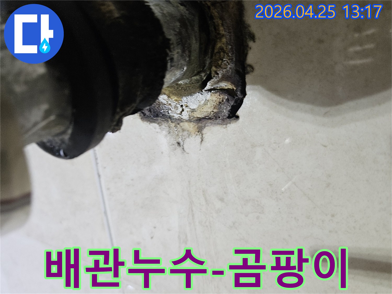 배관 연결 부위에서 발생한 누수로 인해 주변에 곰팡이가 심하게 번식한 모습을 보여주는 이미지입니다-곰팡이 제거와 누수 보수가 시급합니다.