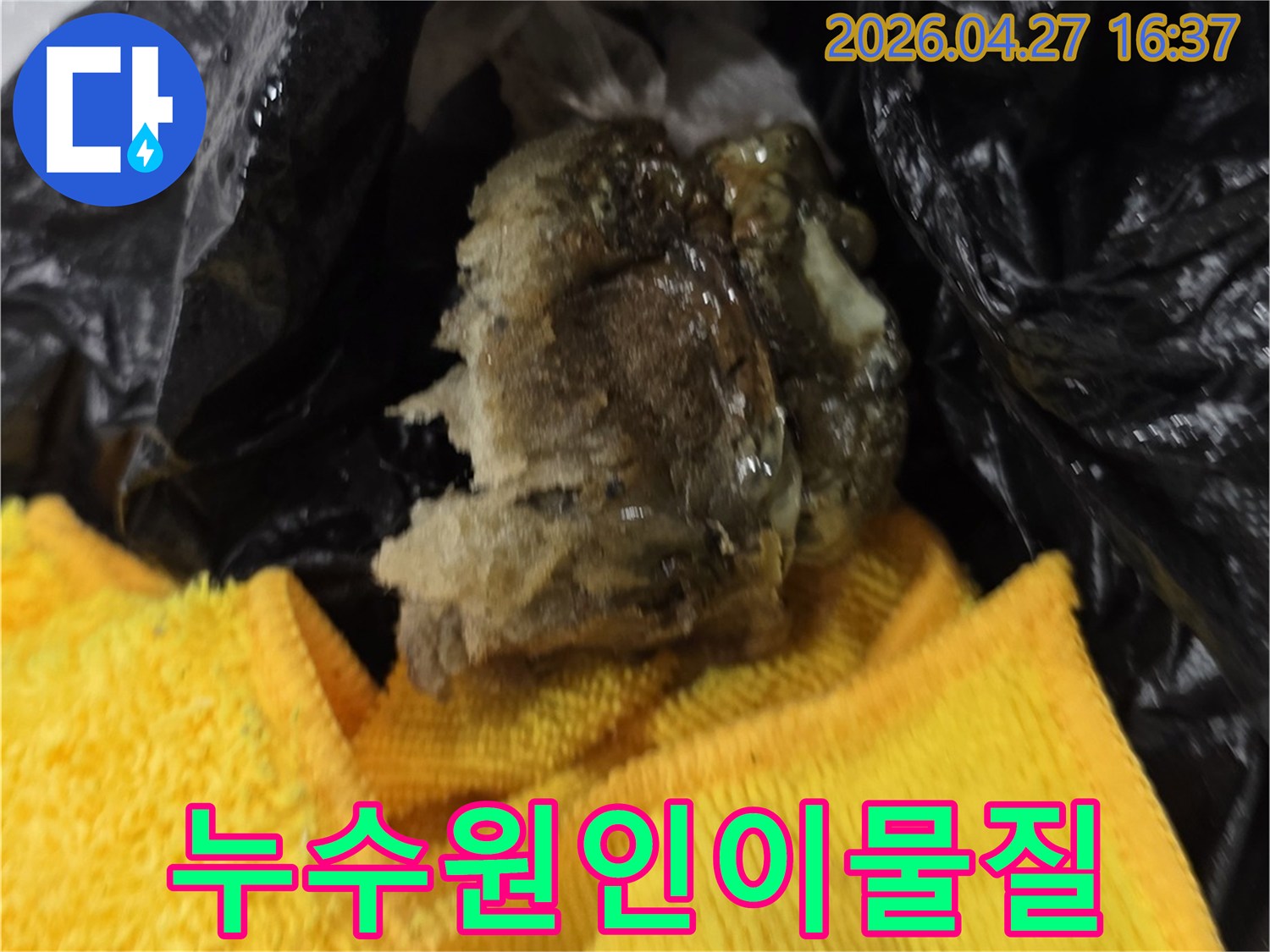 누수 탐지 후-배관에서 나온-끈적한 이물질