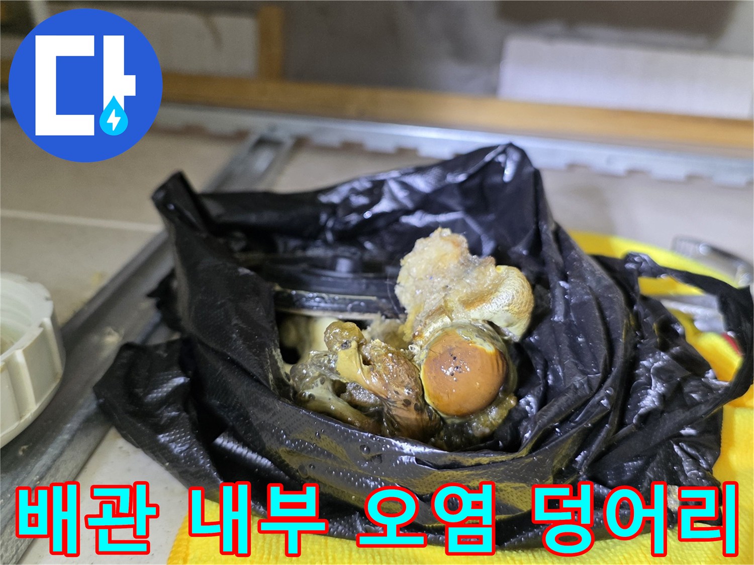 배관-속에서-추출된-커다란-슬러지-뭉치