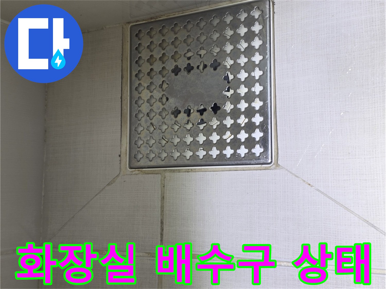 성동구-금호동-화장실-배수구-내부-점검-현장