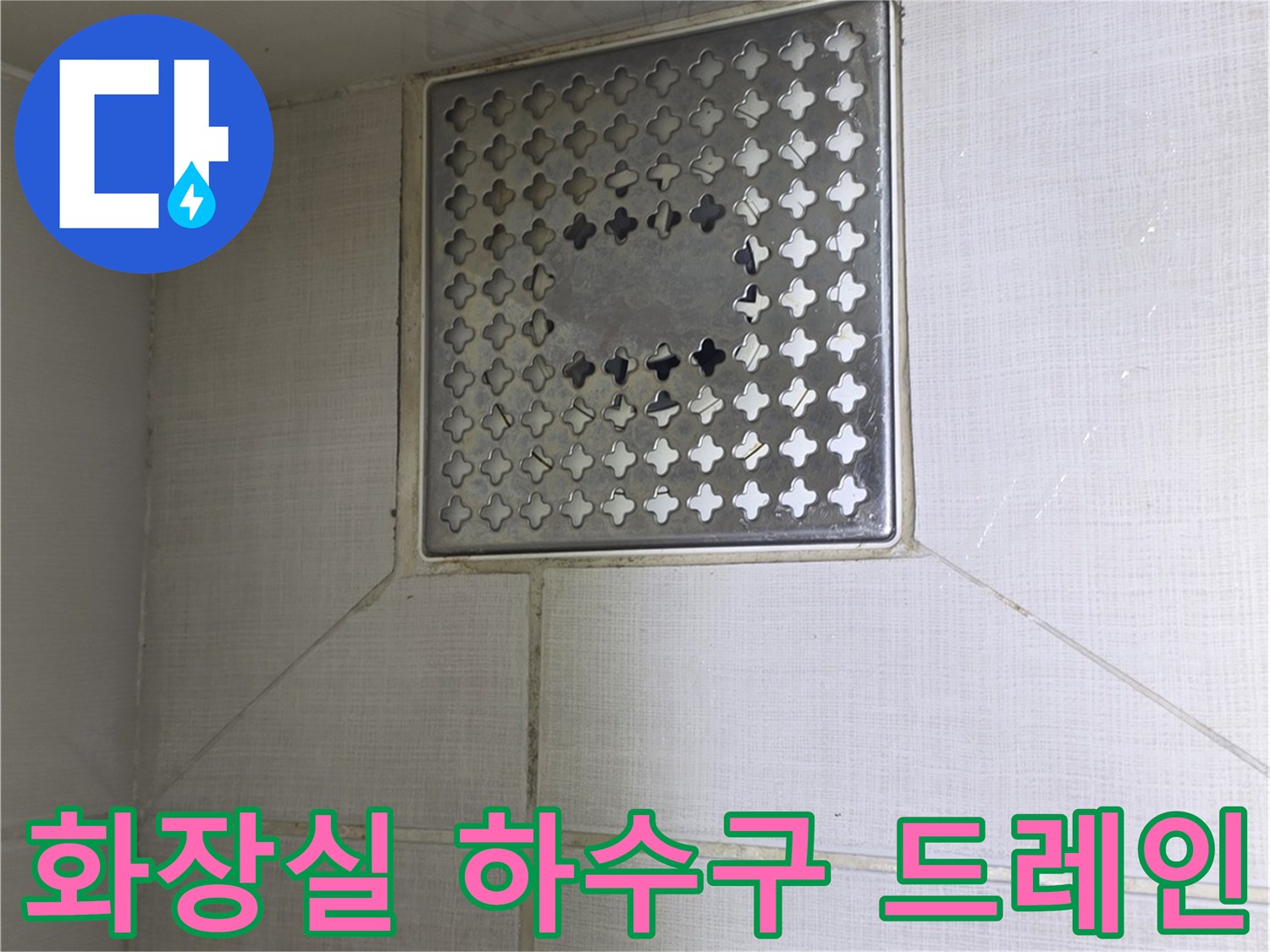 성동구-화장실-하수구-드레인-부위-근접-촬영