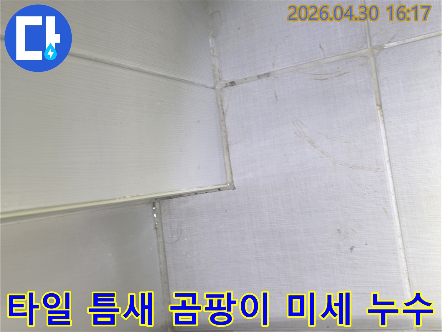 욕실-타일-틈새-발생한-곰팡이-미세-누수-징후-정밀-탐지-시급