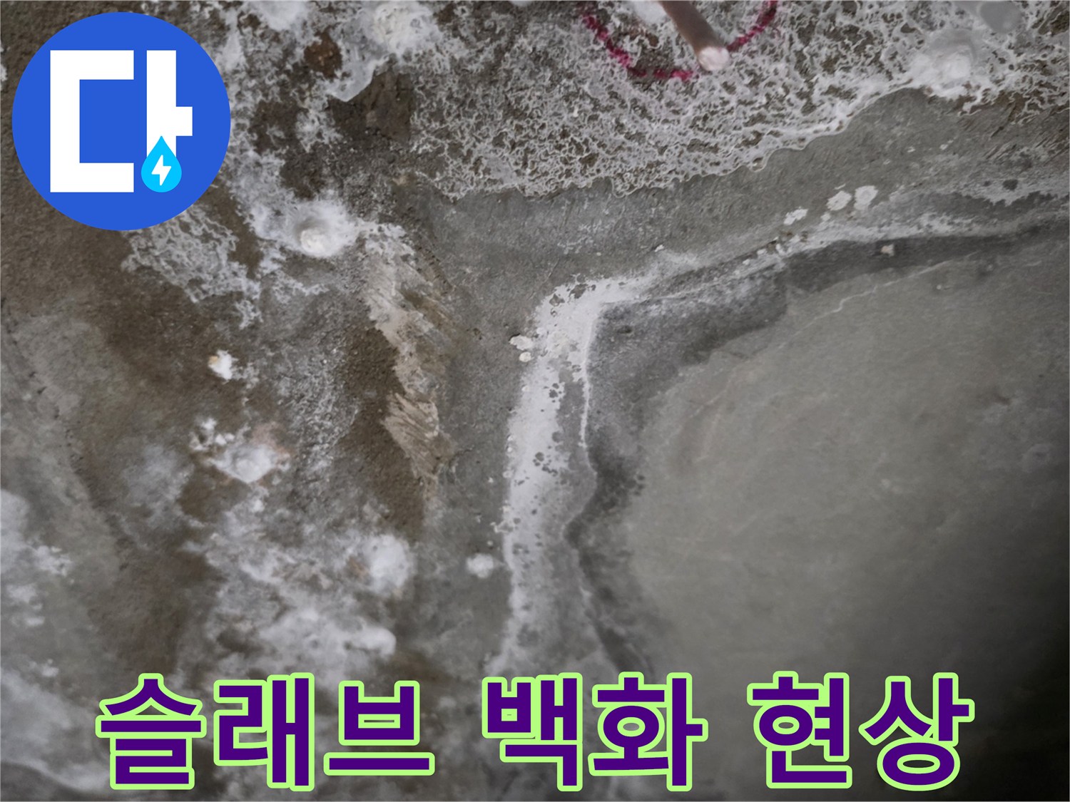 습기로-인해-하얗게-변한-천장-콘크리트-표면