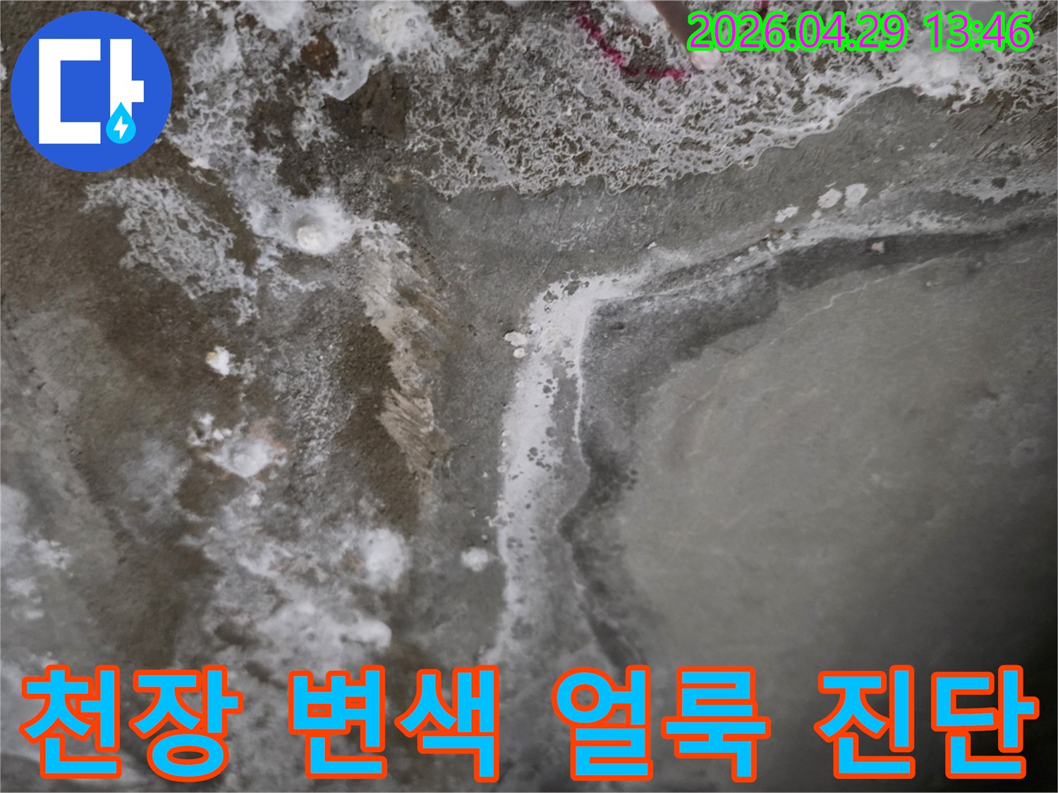 천장-변색-얼룩-진단-누수-피해-정도-확인
