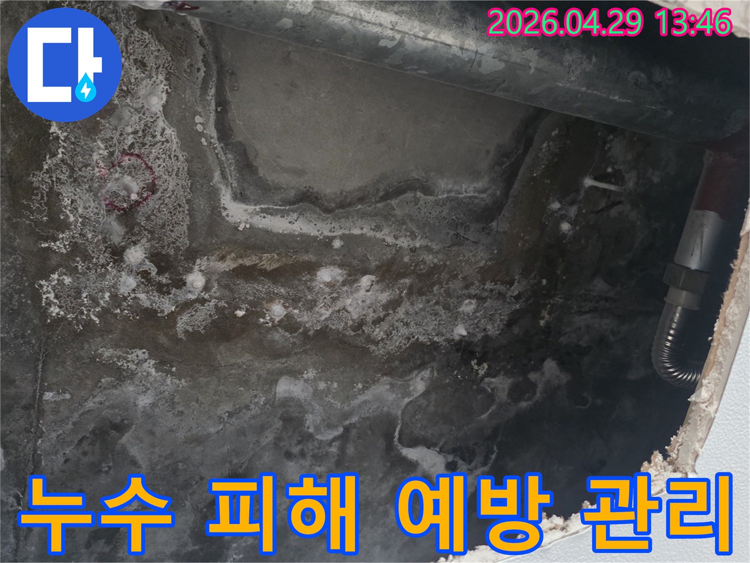 천장 콘크리트 표면에-누수로 인한 물자국과-얼룩이 광범위하게 퍼져있는 현장 사진입니다.