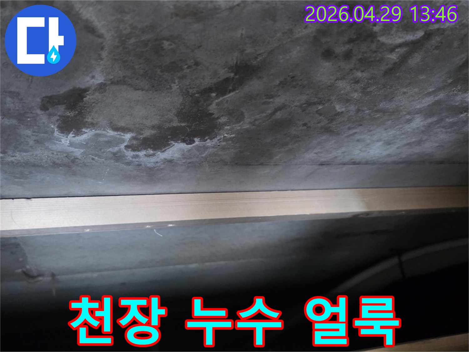 콘크리트 천장에 물이 새어 생긴 어두운 얼룩과-하얀 백화 현상이 뚜렷하게 보이는 사진입니다.
