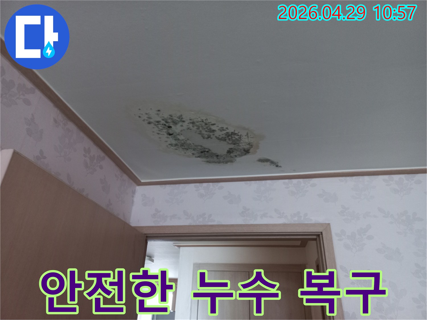 누수로-인해-천장-마감재가-손상되고-곰팡이가-발생한-현장-사진입니다.