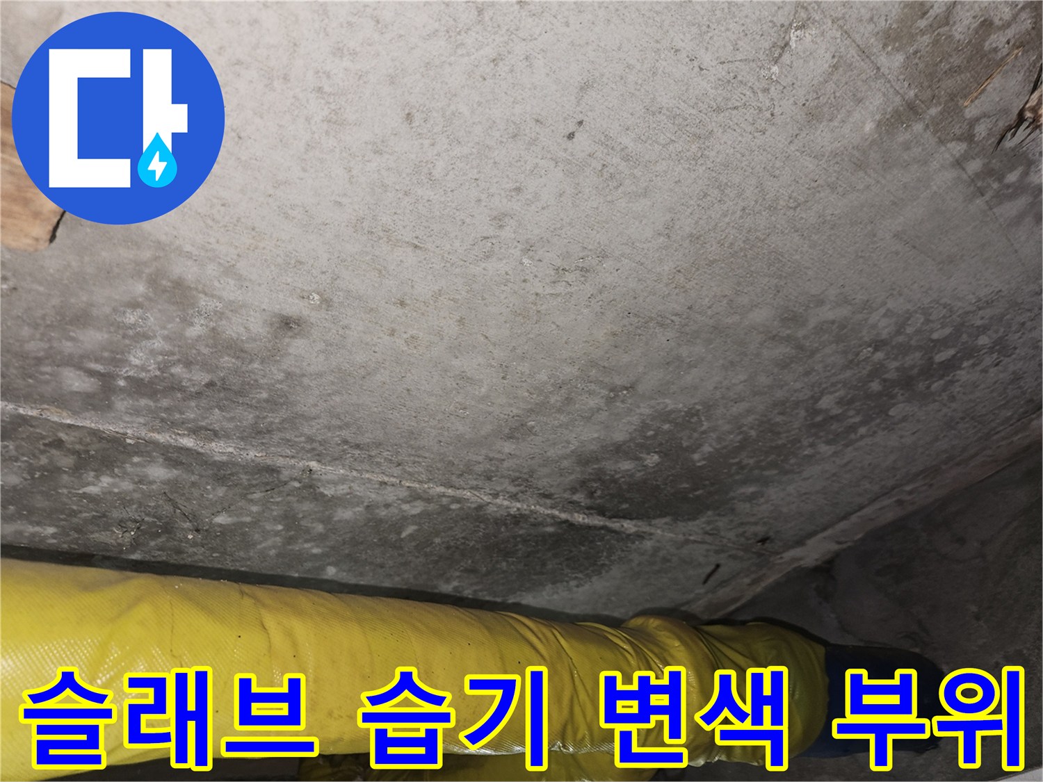 습기가 스며든 콘크리트 슬래브의 어두운 얼룩