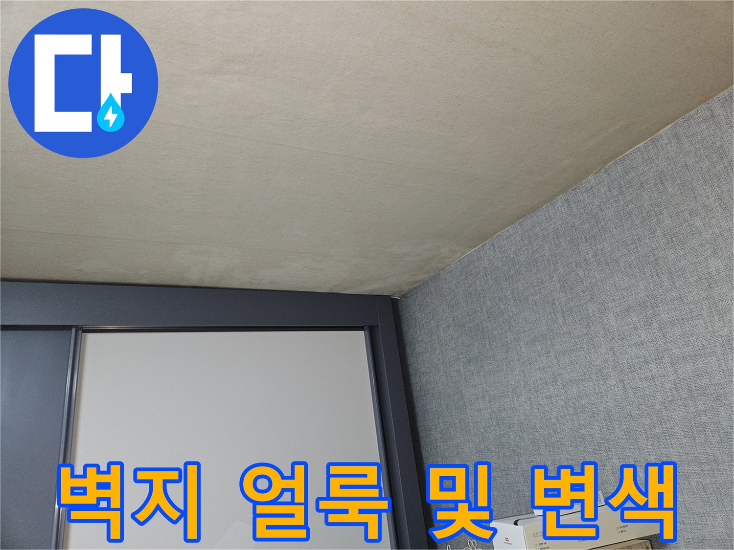 일동면 현장-천장 도배지의 어두운 물얼룩 상태