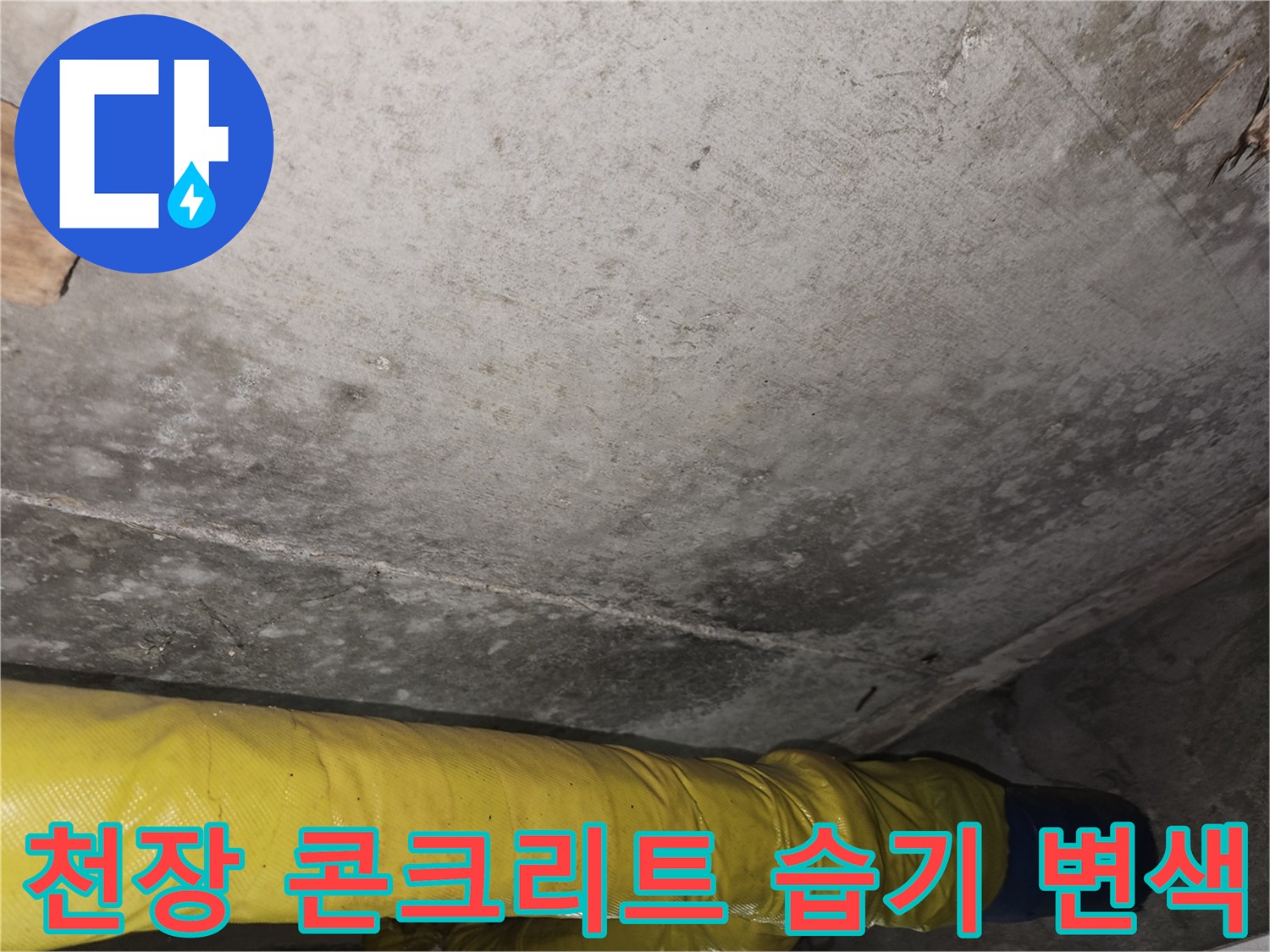현장 점검 사진-콘크리트 슬래브의 누수 흔적과 변색