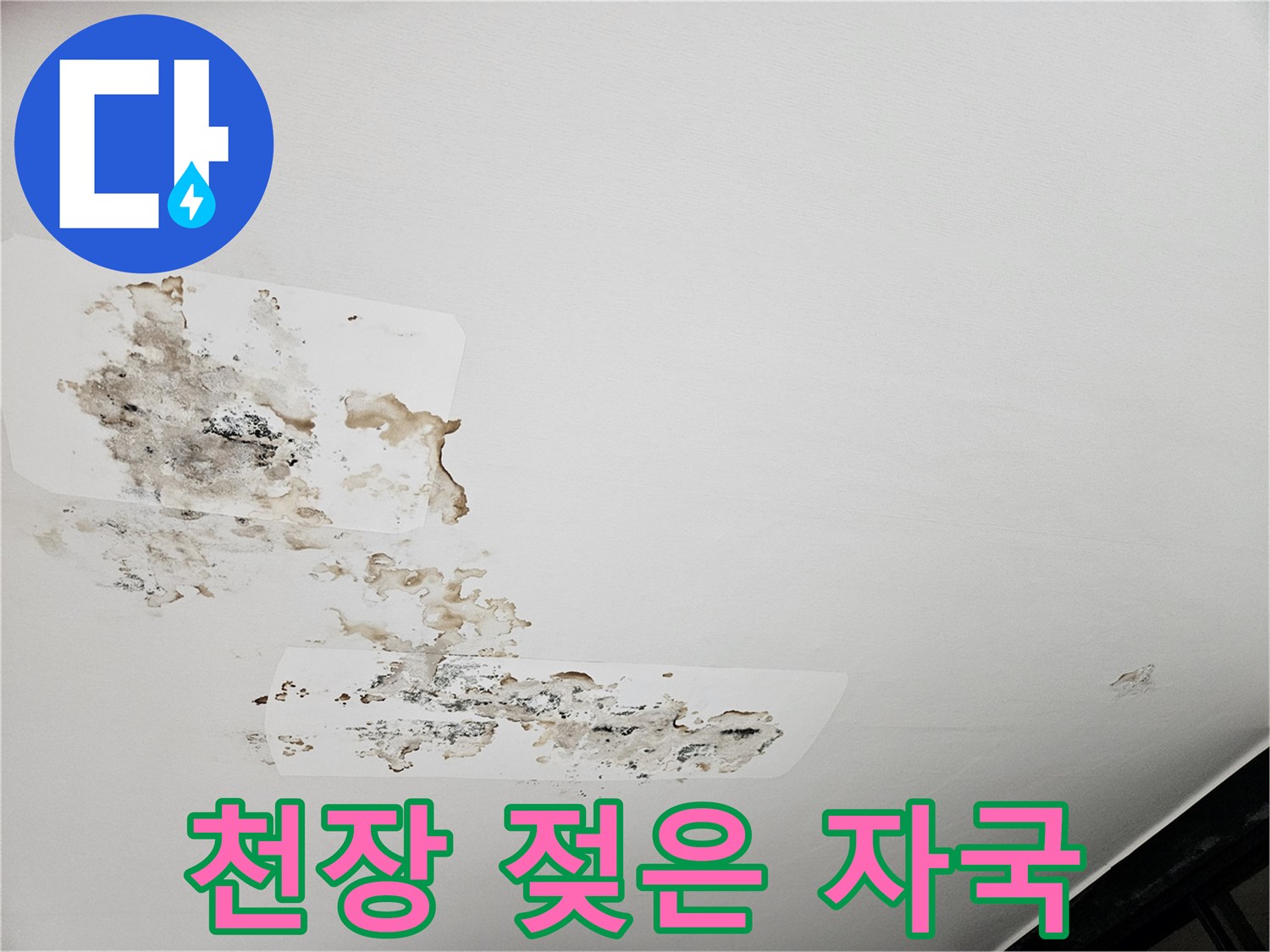 곰팡이와 물 얼룩으로 인해 손상된 아파트 천장 벽지