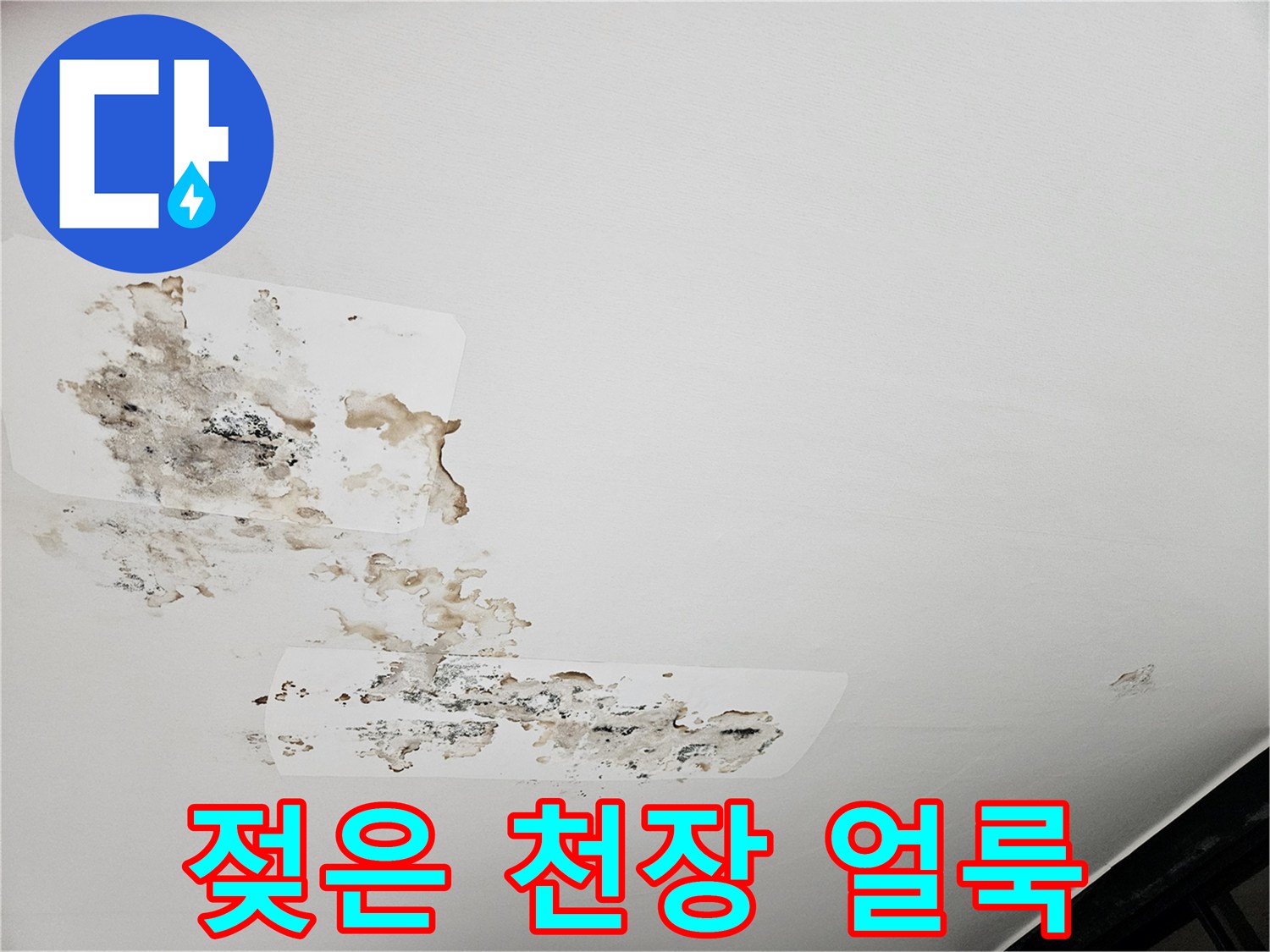 습기에 의한-천장 마감재 곰팡이 오염 상태